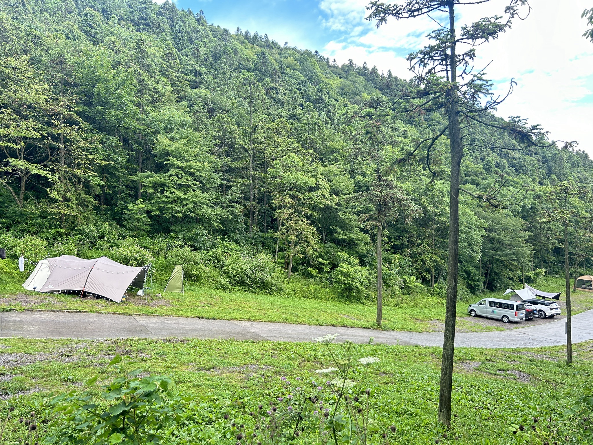 场地封面-玫瑰湾露营地