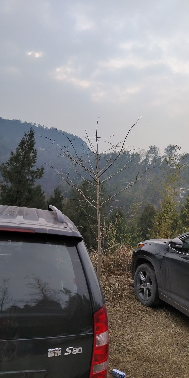 神牛溪景区旅行图片 3