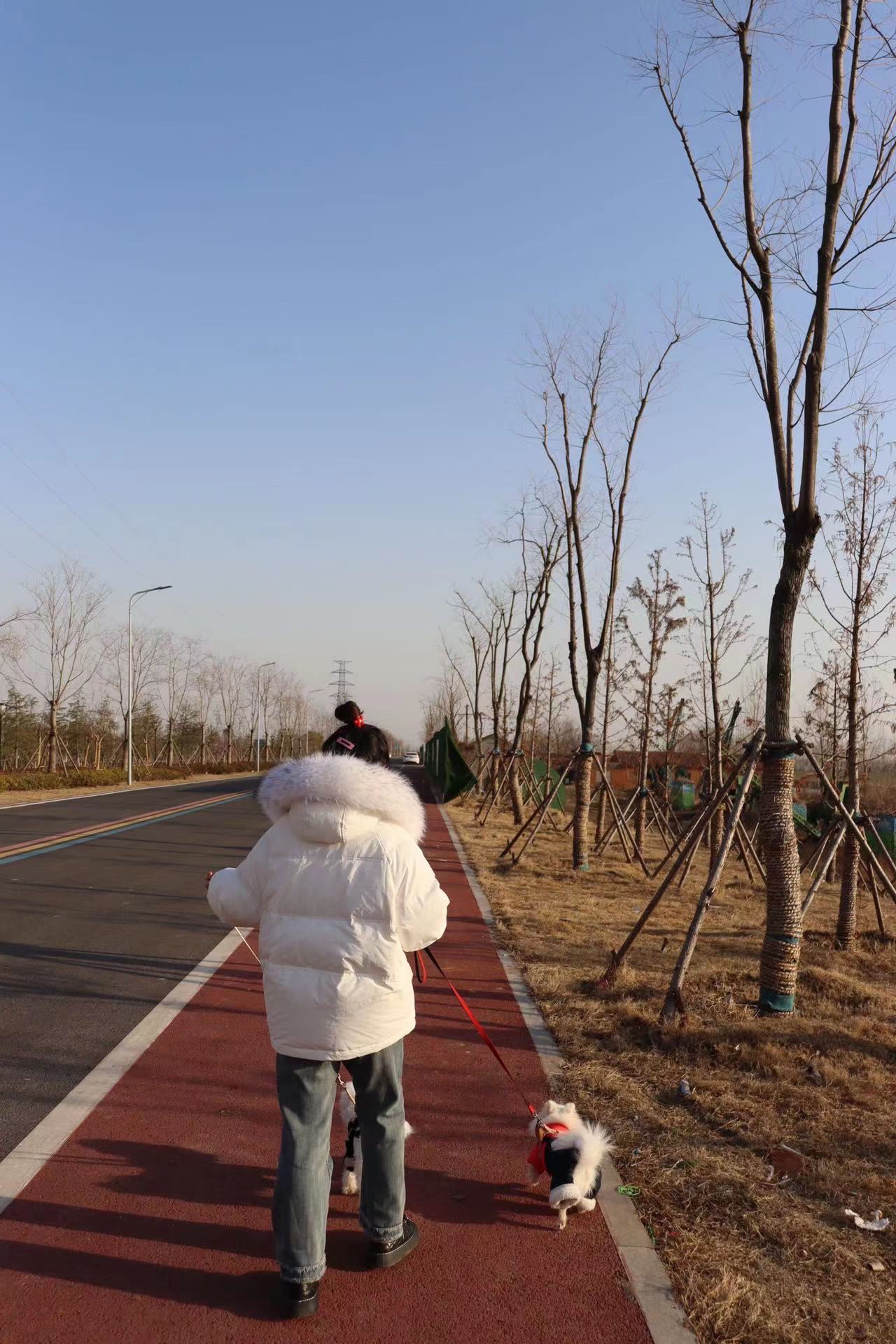 溧河洼百里湖湾旅行图片 3