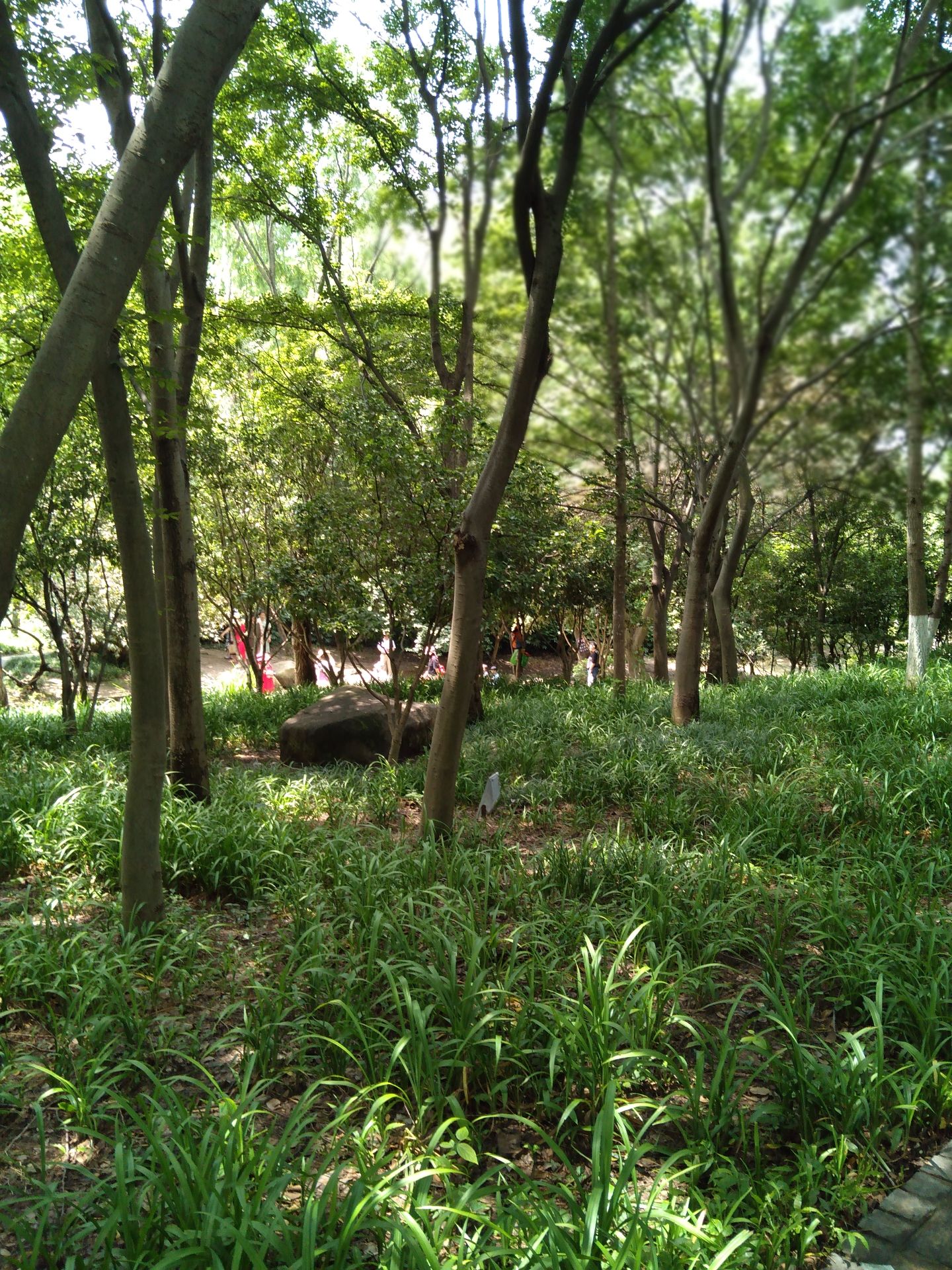 南京小九寨沟旅行图片 3