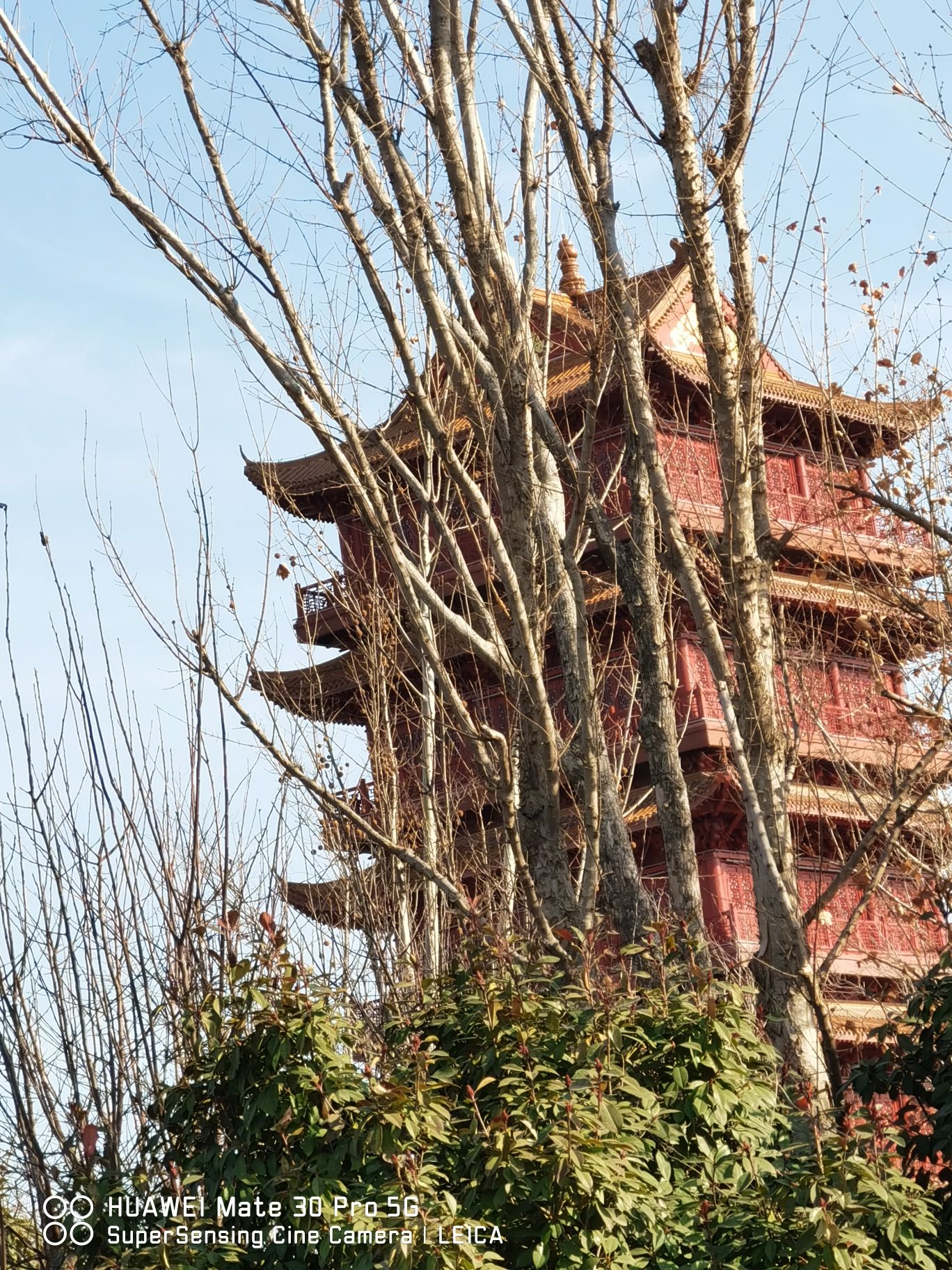 鄄城尧天阁旅行图片 2