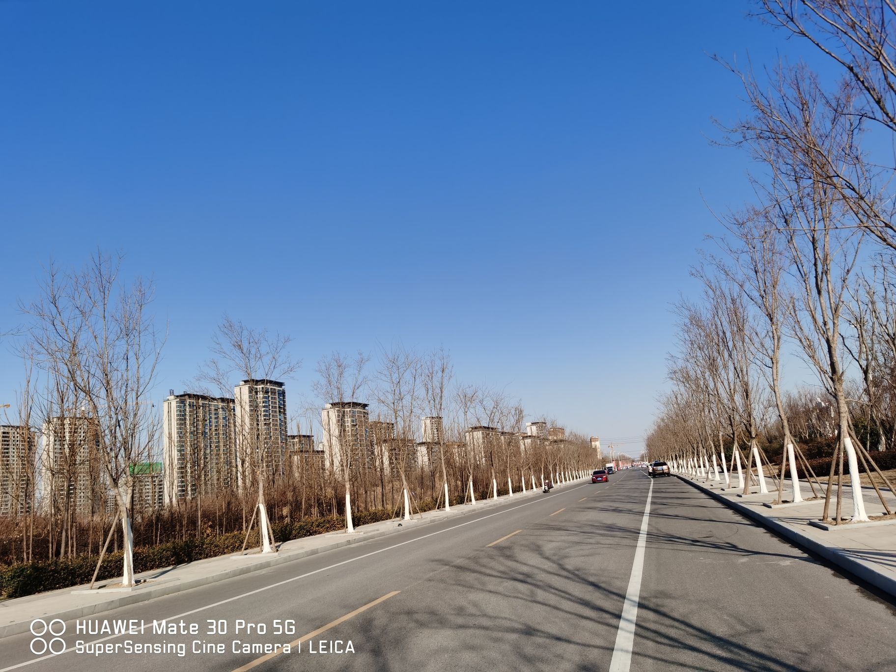 鄄城尧天阁旅行图片 1