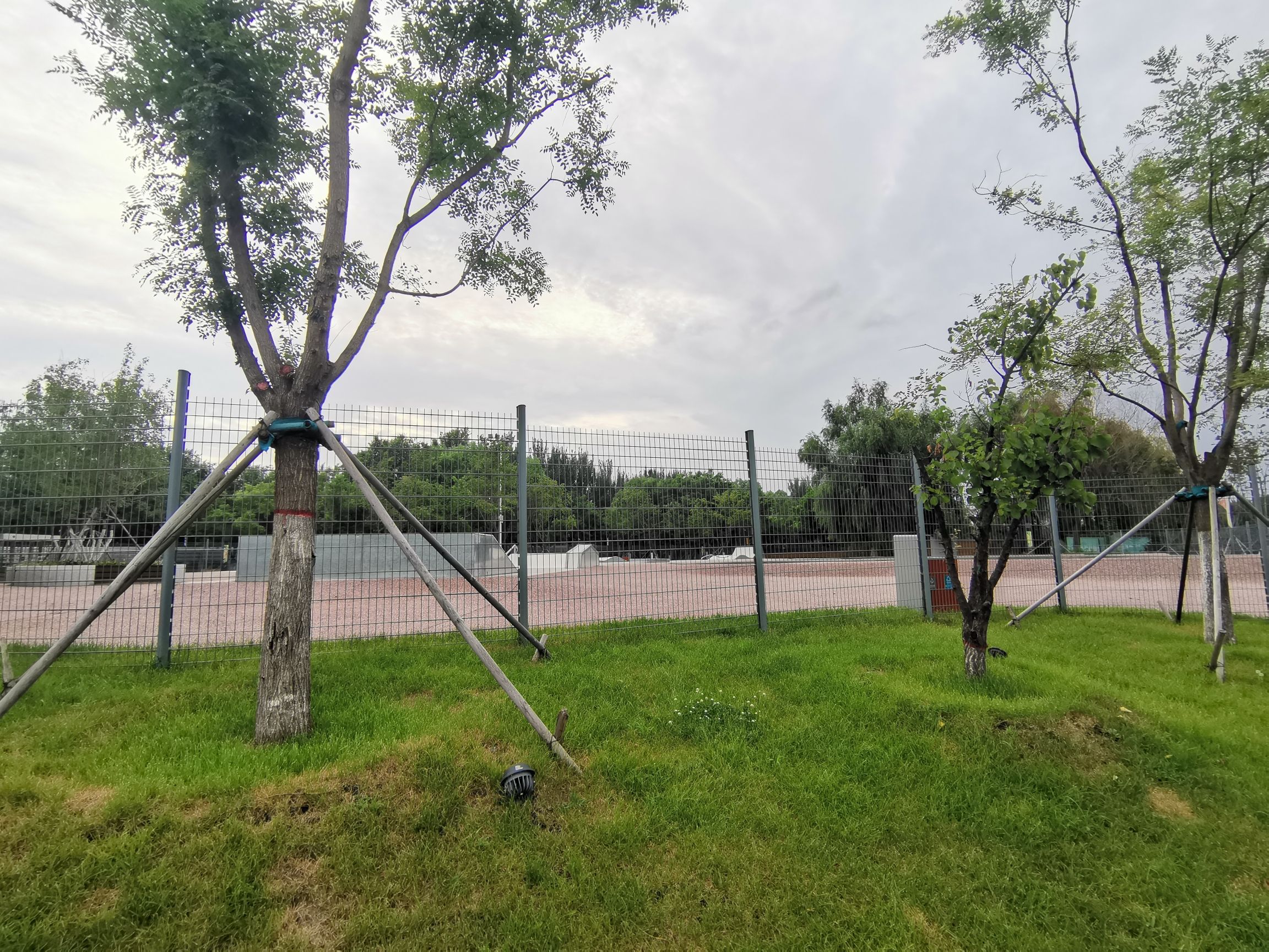沈阳国际泵道公园旅行图片 3
