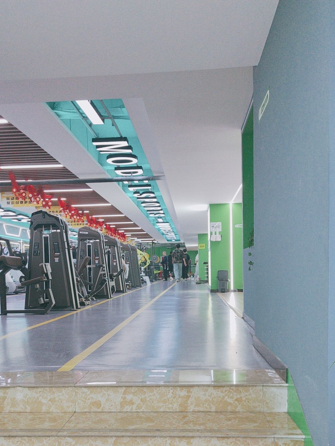 毛豆运动ModelSports