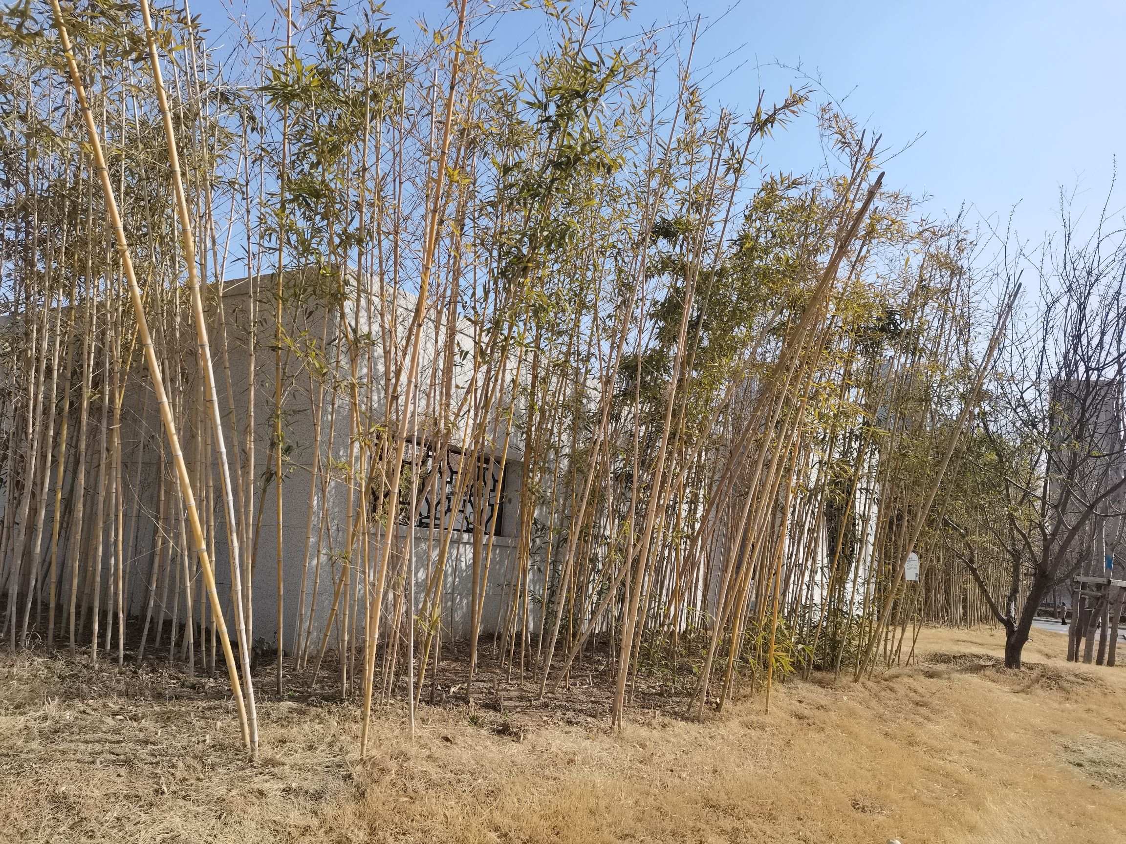 汉字公园旅行图片 3