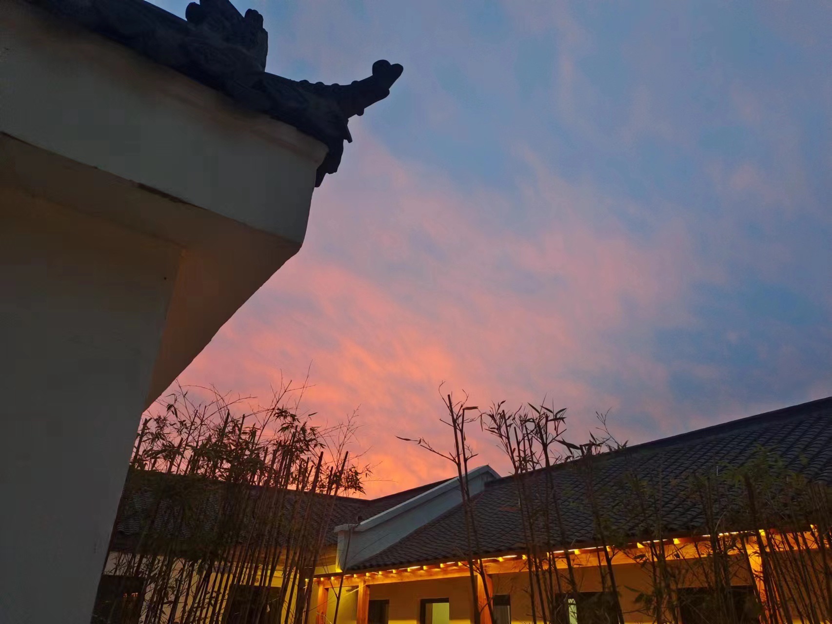樾汀趣野风景区旅行图片 3