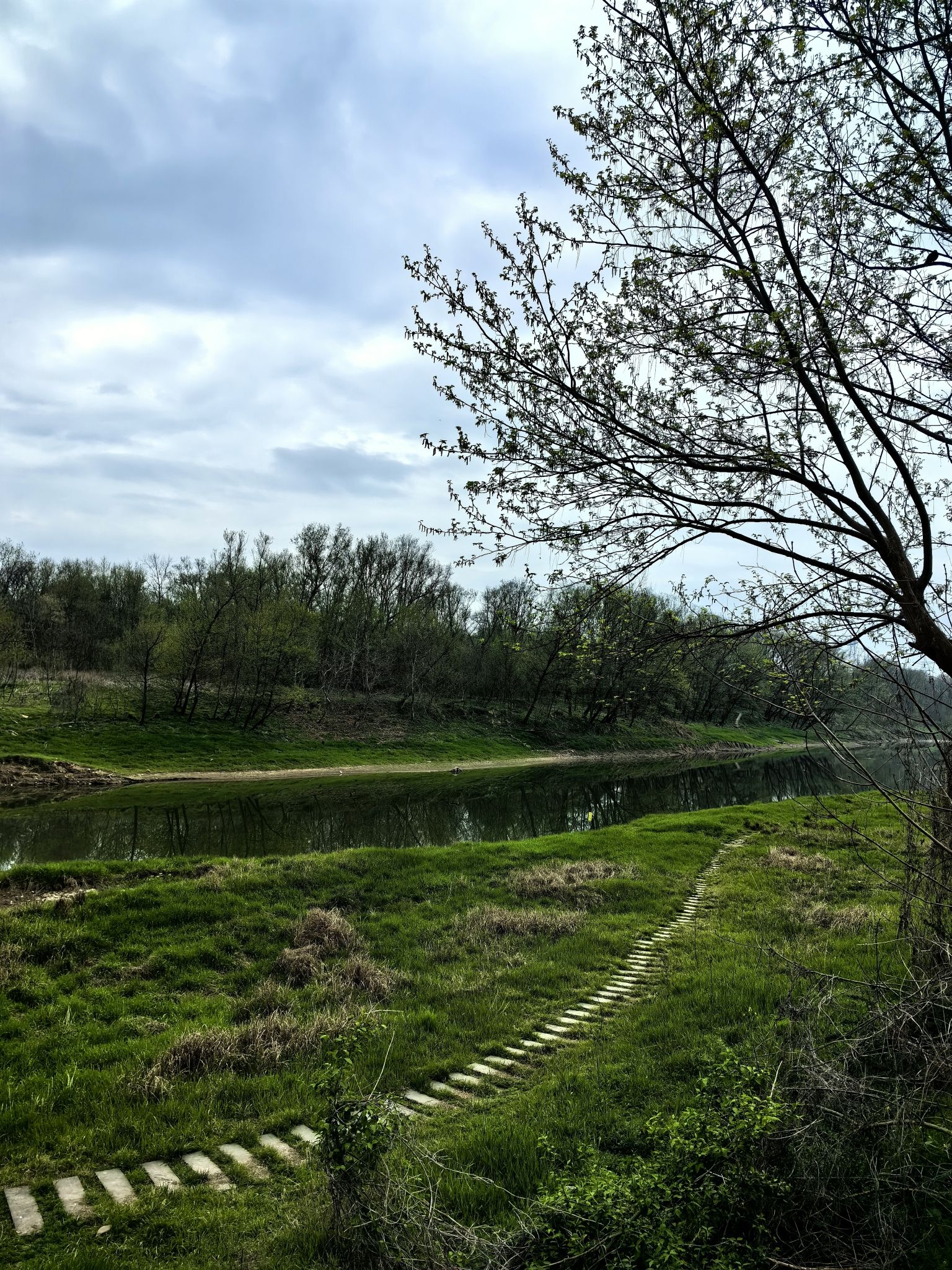 烟墩山文化遗址公园旅行图片 2