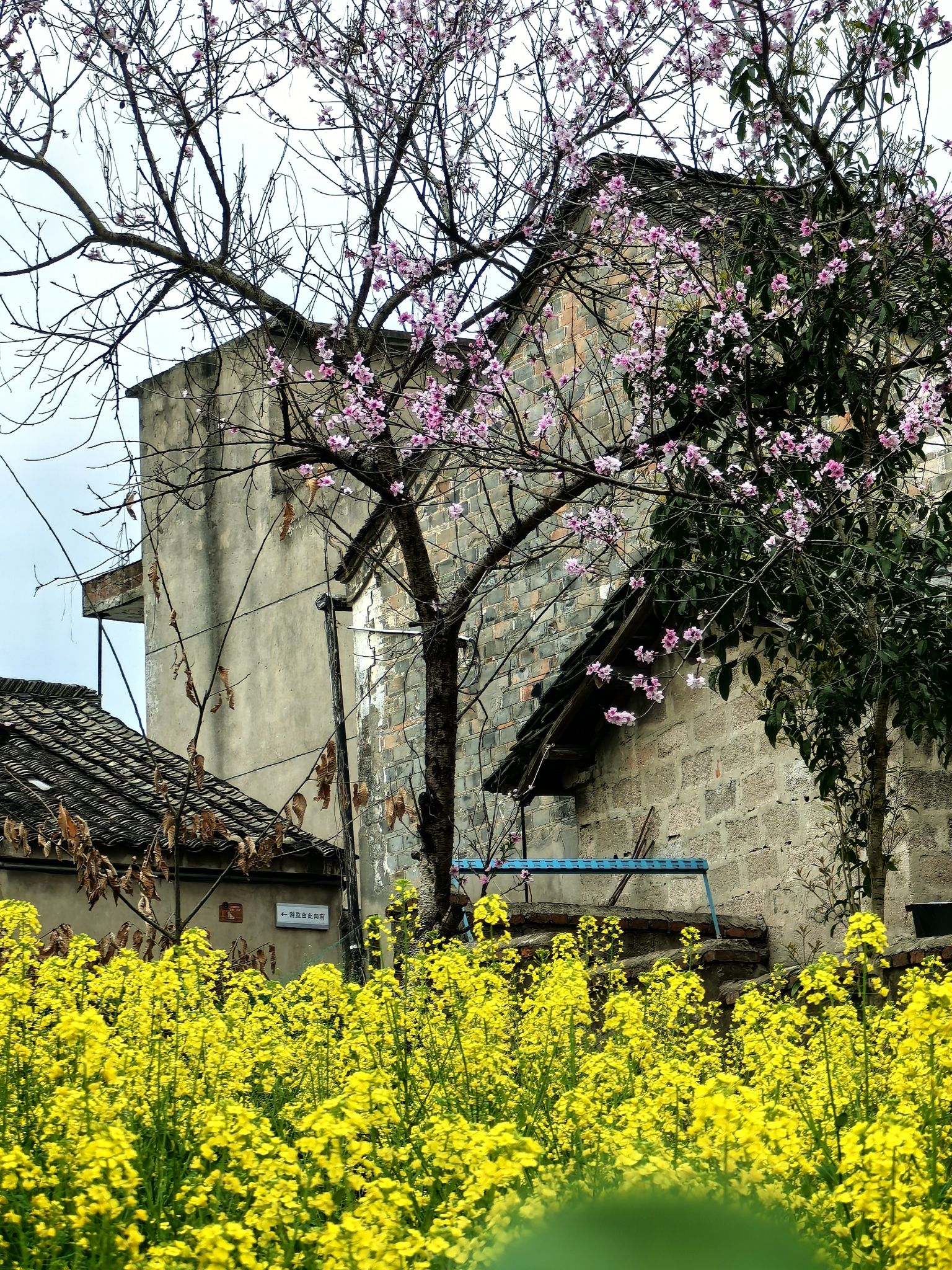烟墩山文化遗址公园旅行图片 1