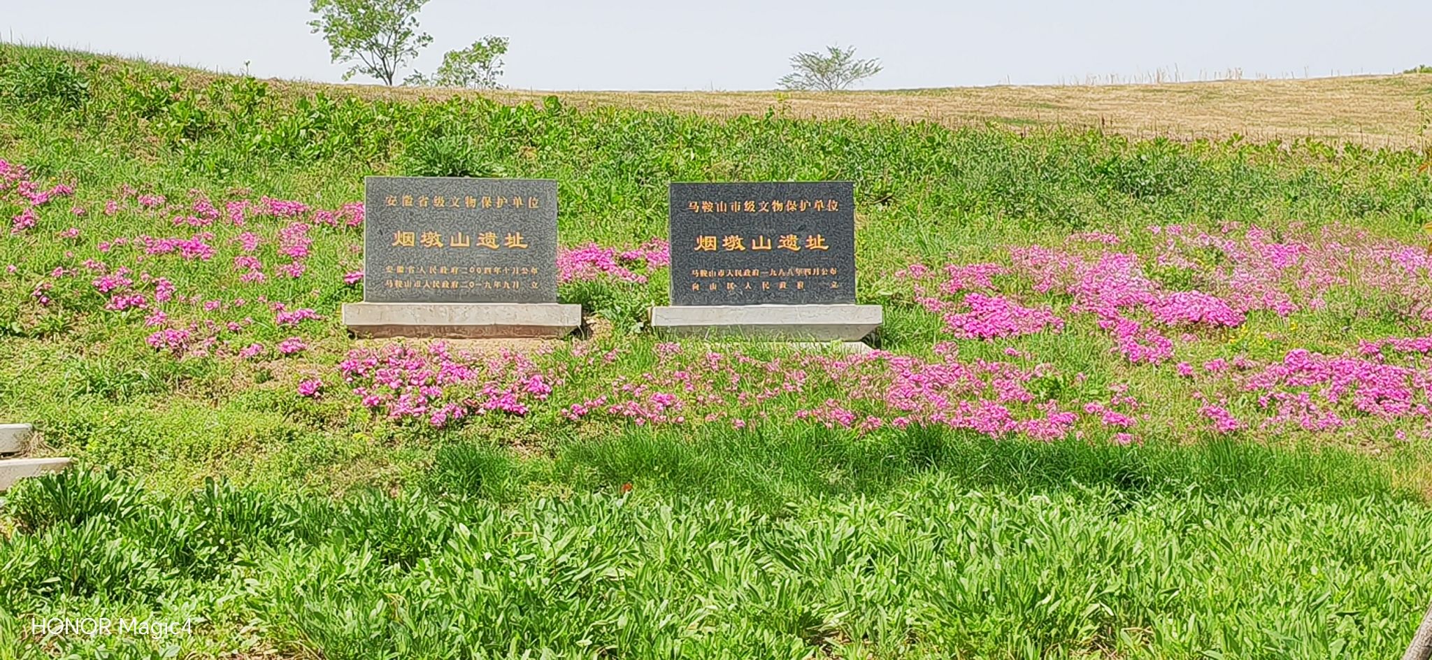 烟墩山文化遗址公园旅行图片 3