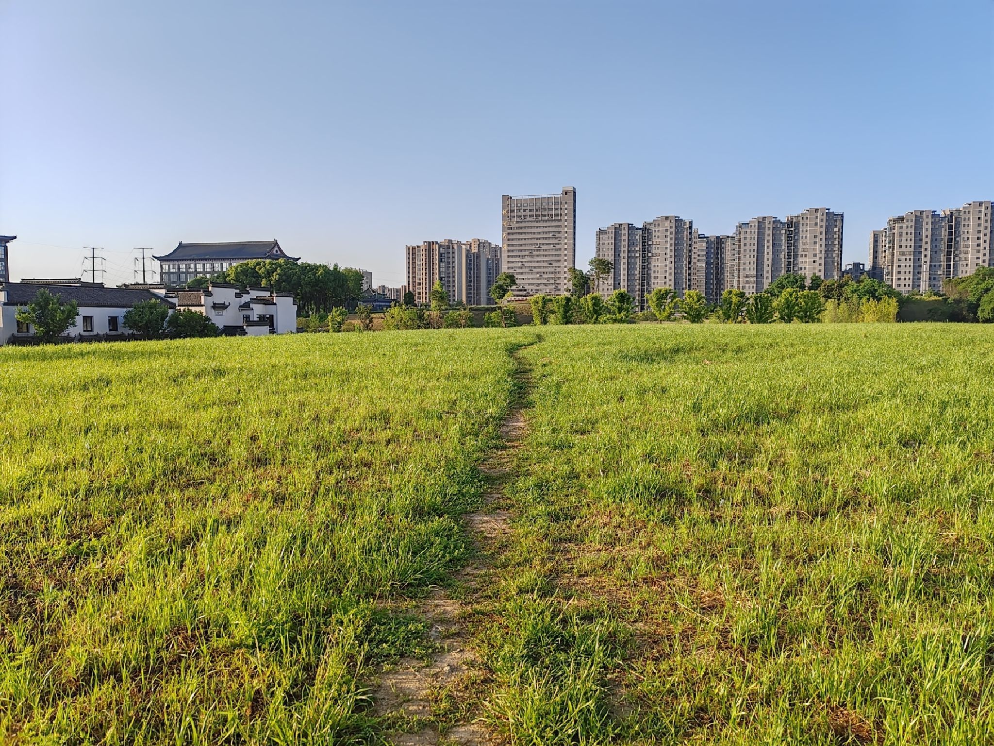 烟墩山文化遗址公园旅行图片 1