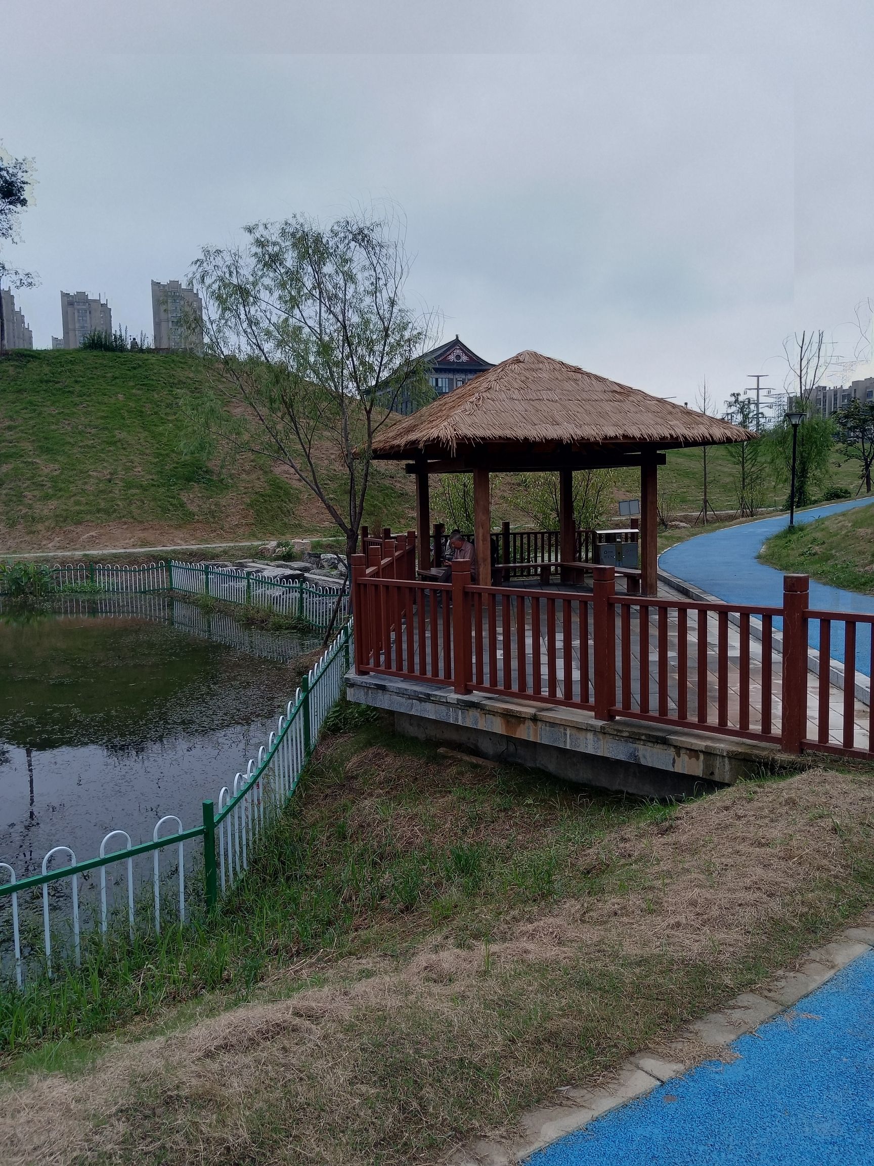 烟墩山文化遗址公园旅行图片 1