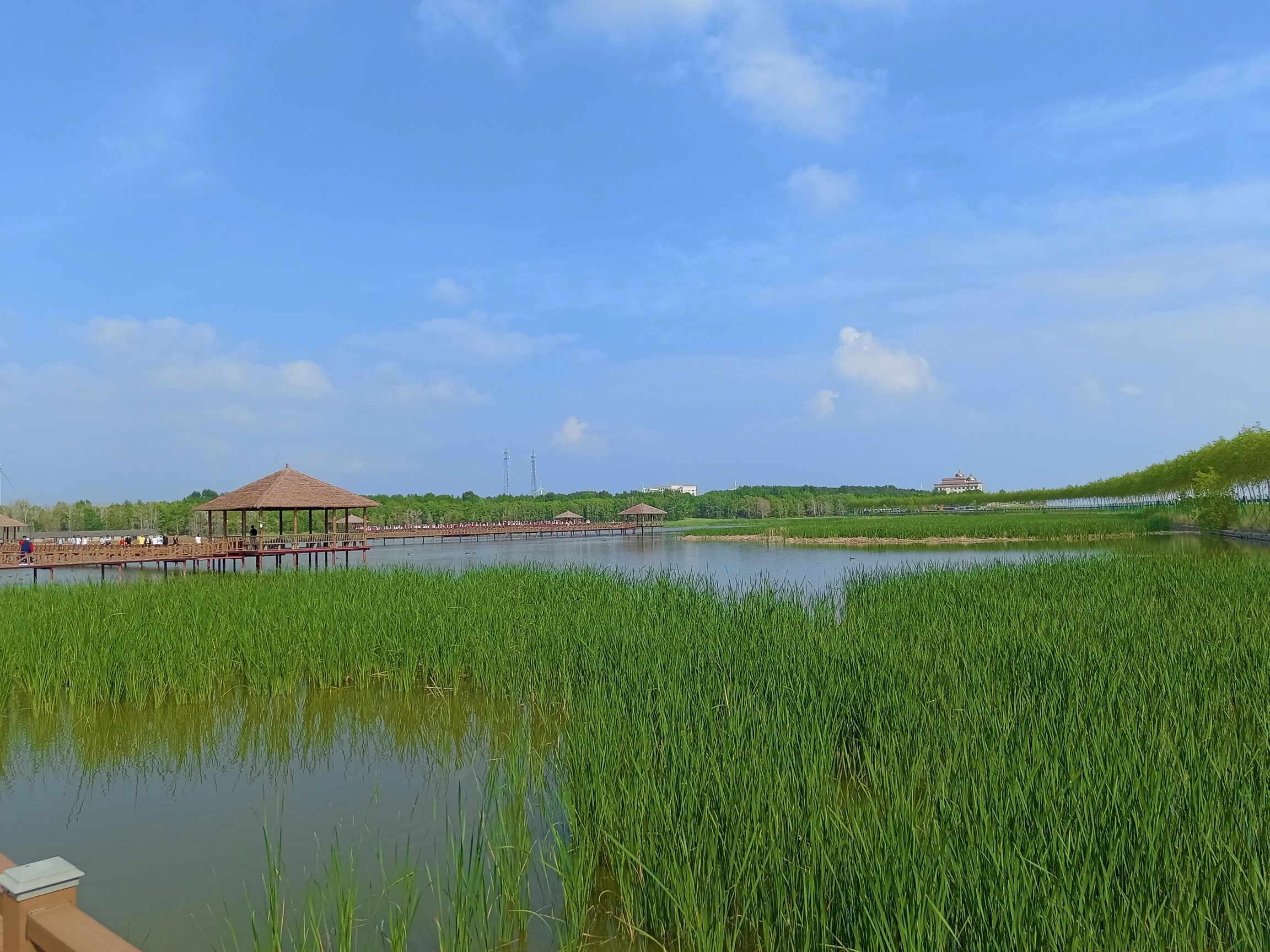 野鸭湾