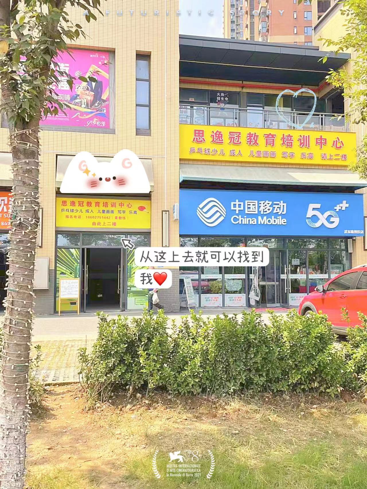 场地封面-武汉思逸冠乒乓球俱乐部(武汉思逸冠教育培训中心)