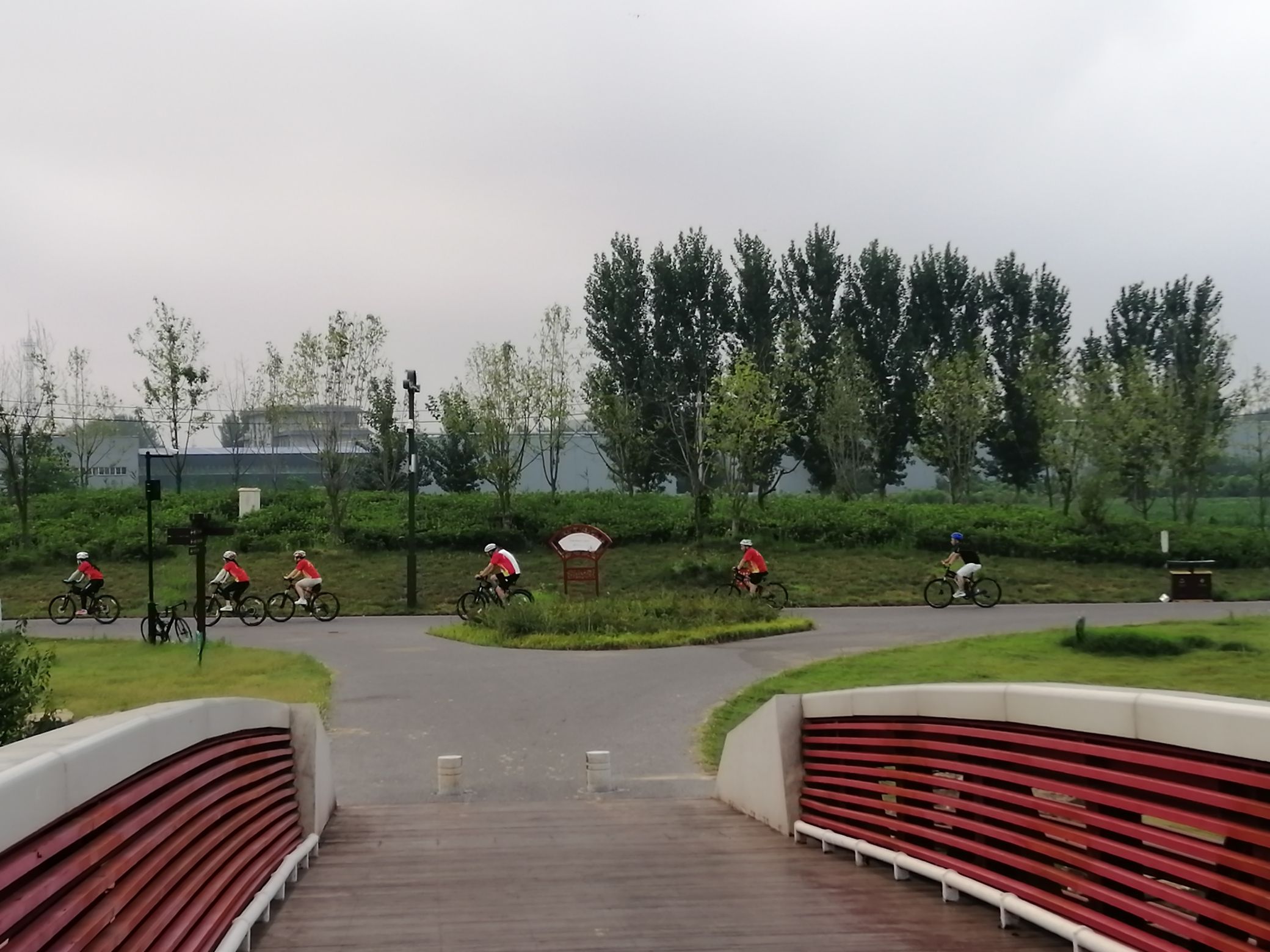 人才公园旅行图片 2