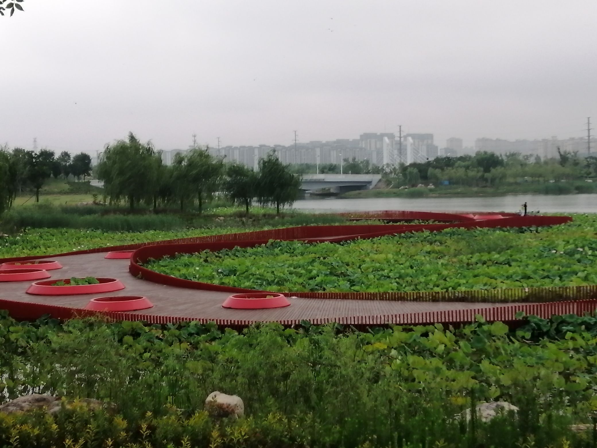 人才公园旅行图片 3