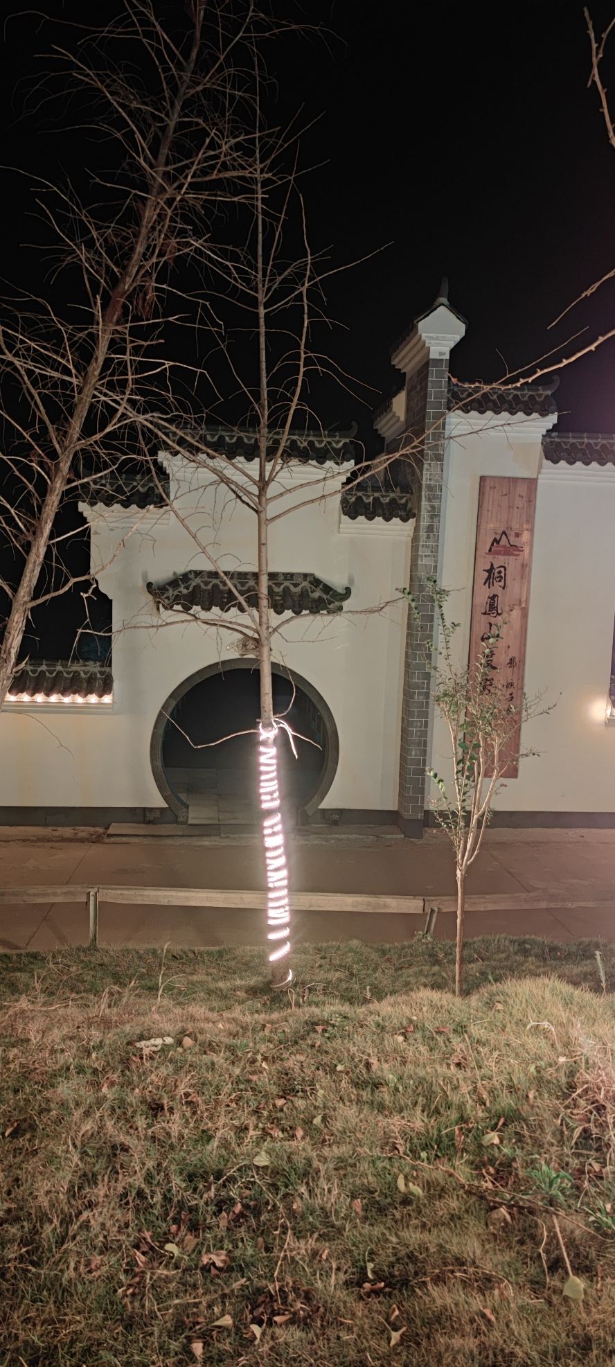 杨家边千亩荷花园旅行图片 2