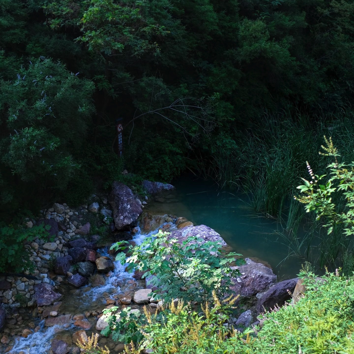 水墨香山旅游区旅行图片 2