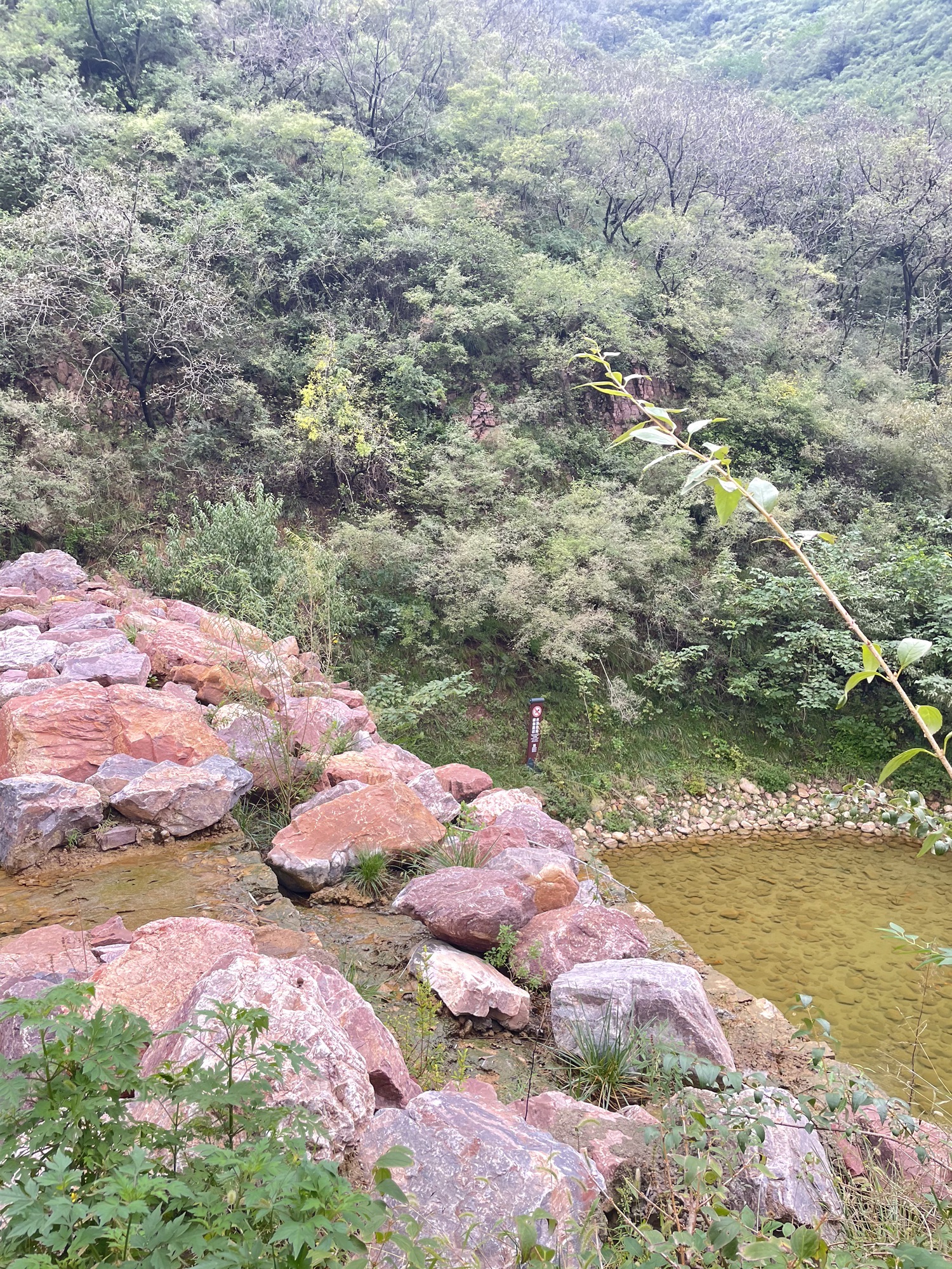 水墨香山旅游区旅行图片 2