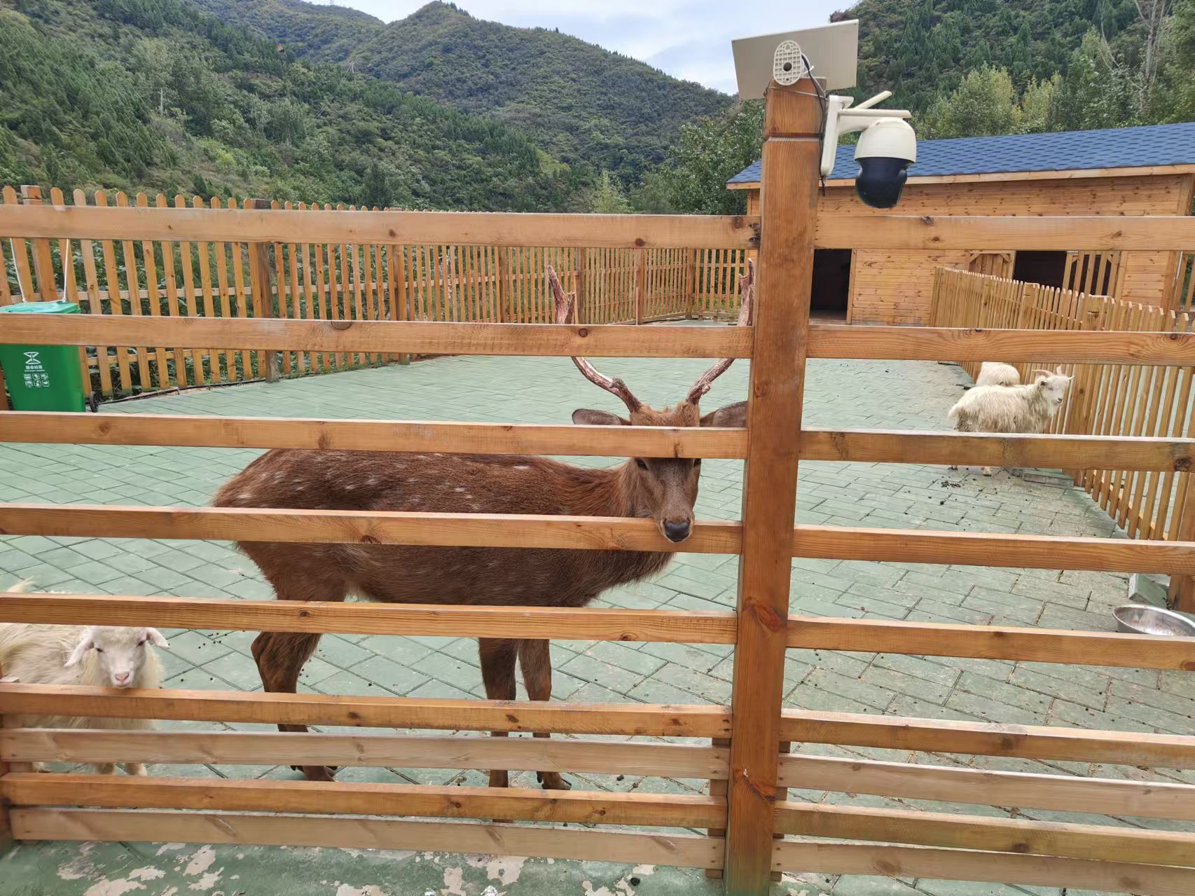水墨香山旅游区旅行图片 3