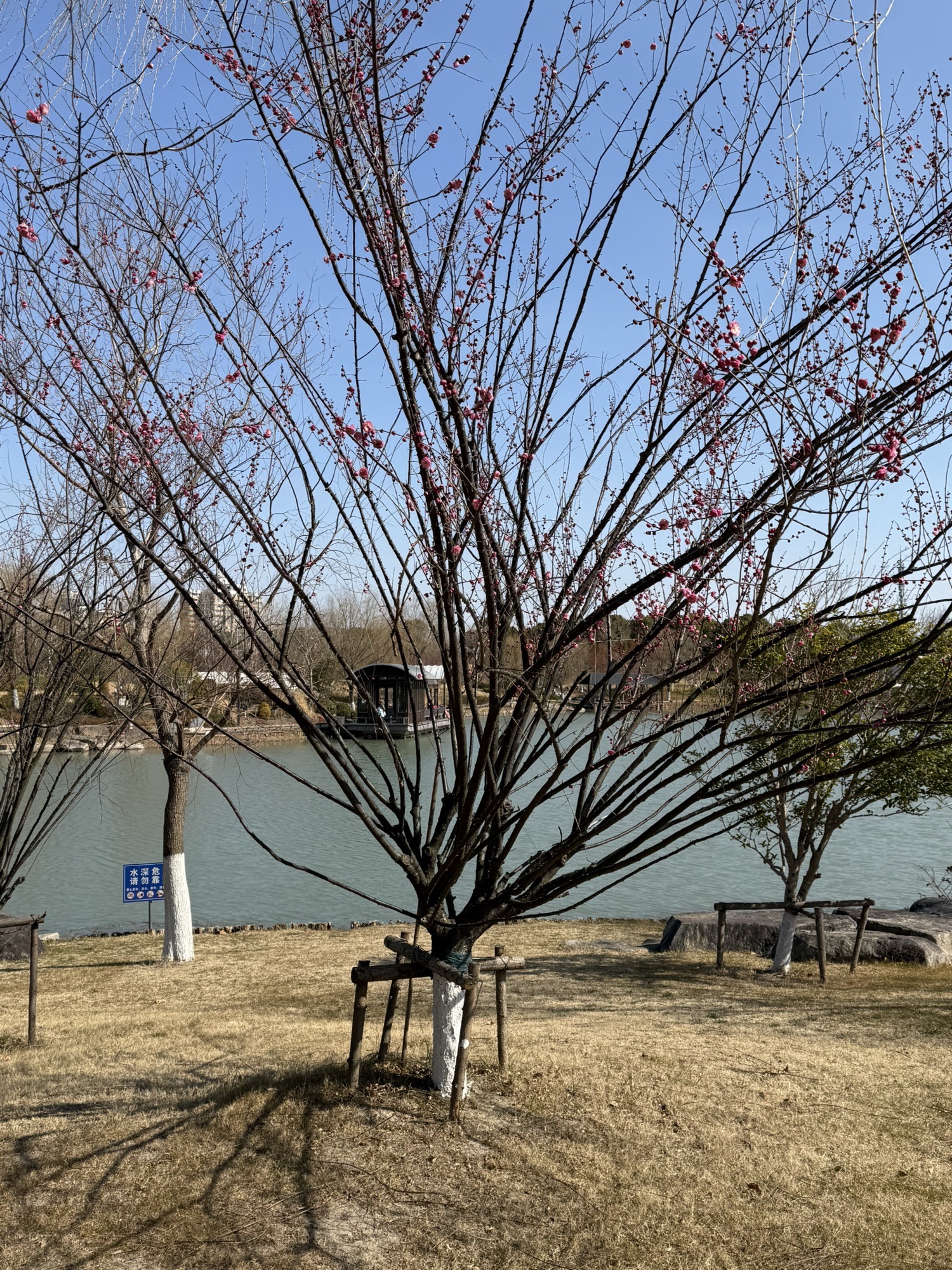 梅陇生态公园旅行图片 2