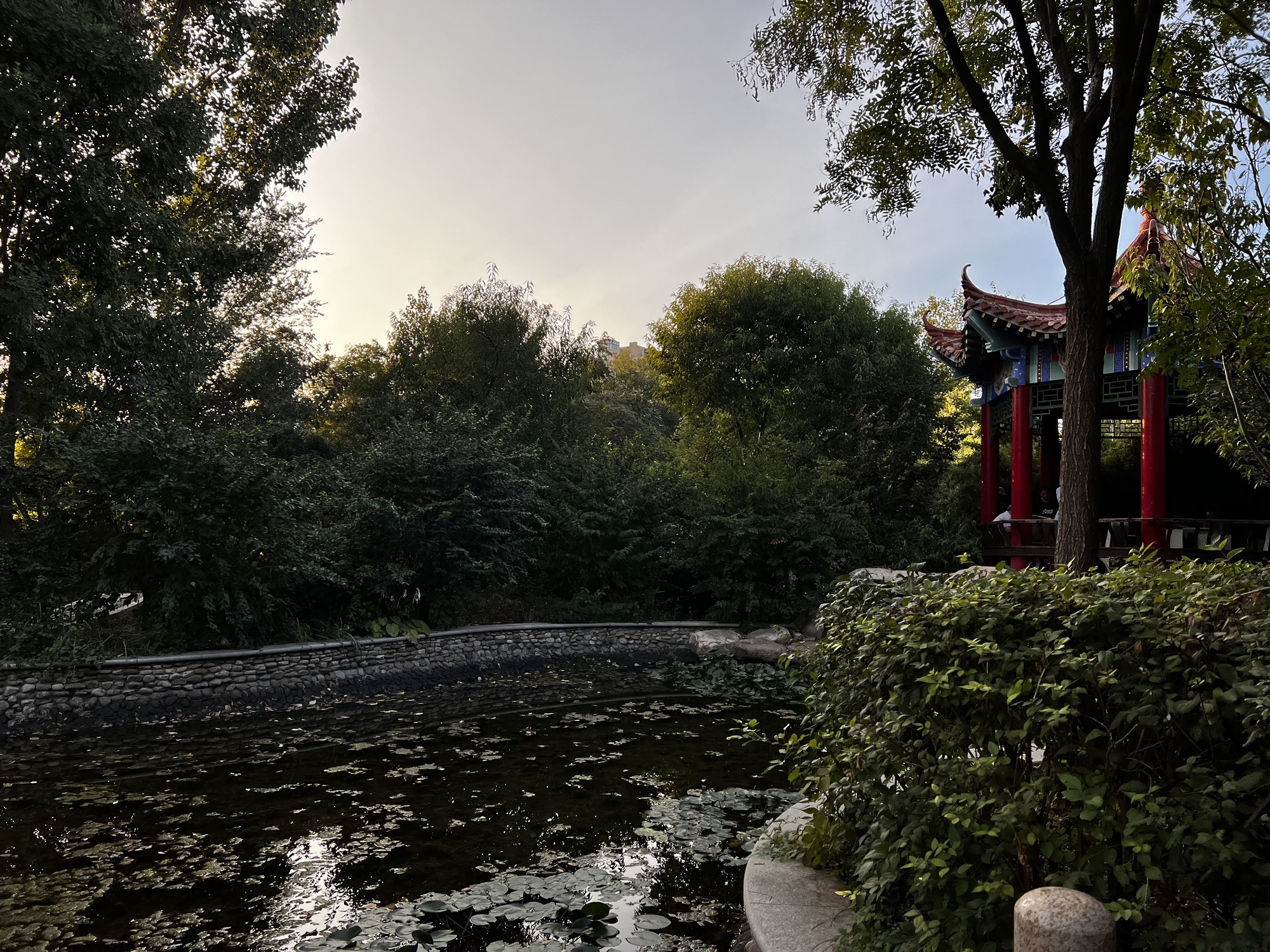 王兰庄公园旅行图片 1