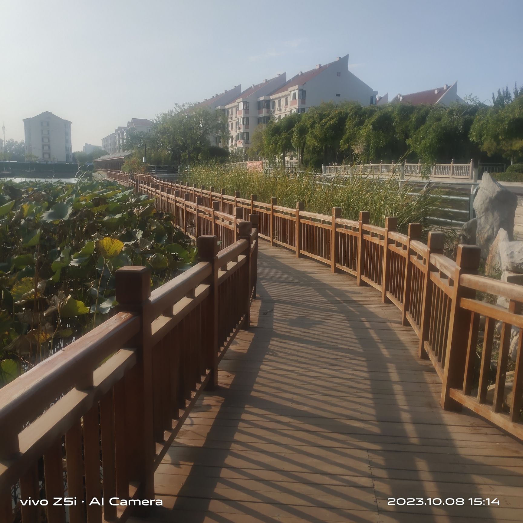 王兰庄公园旅行图片 2