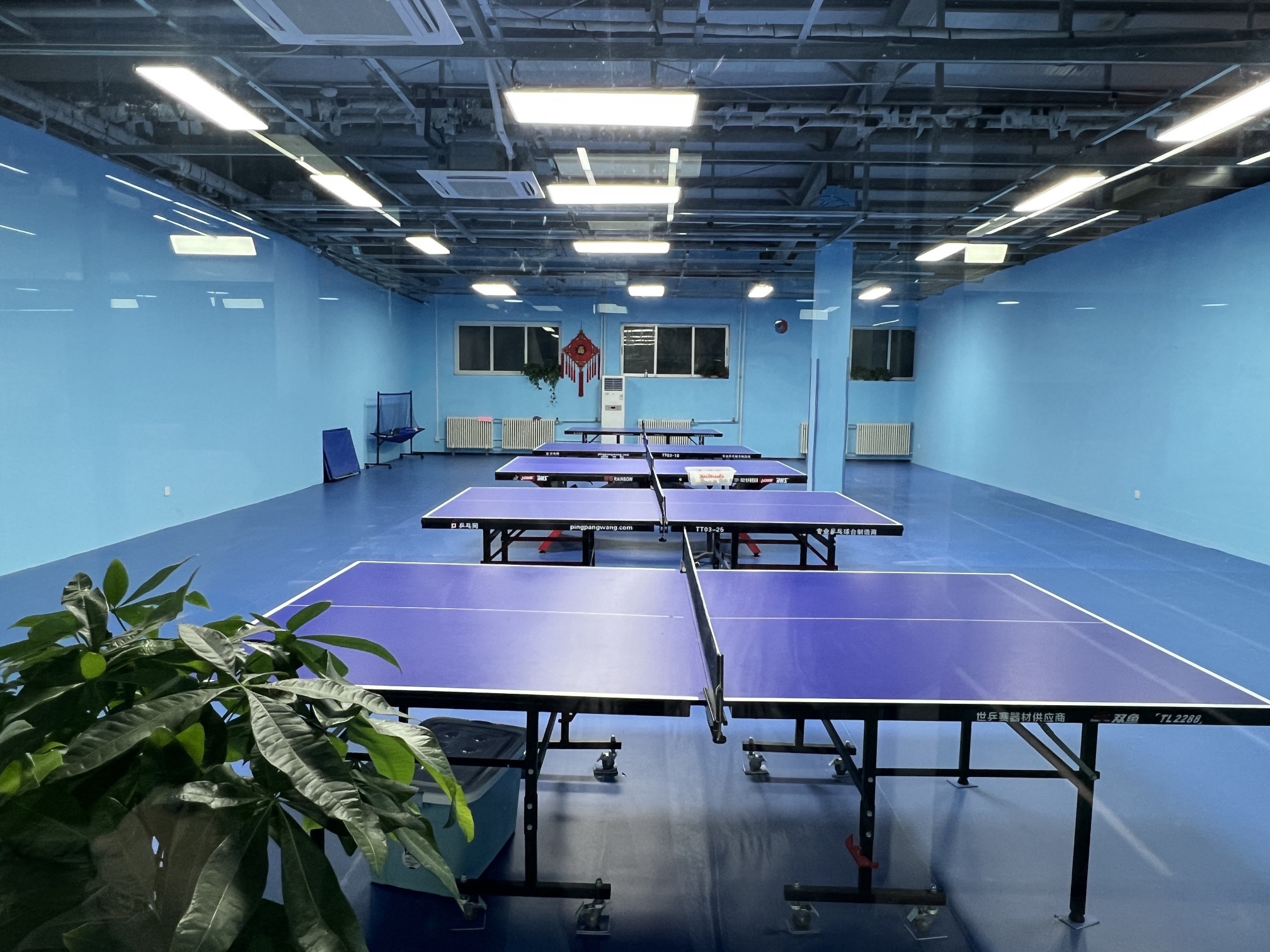 场地封面-搏远乒乓