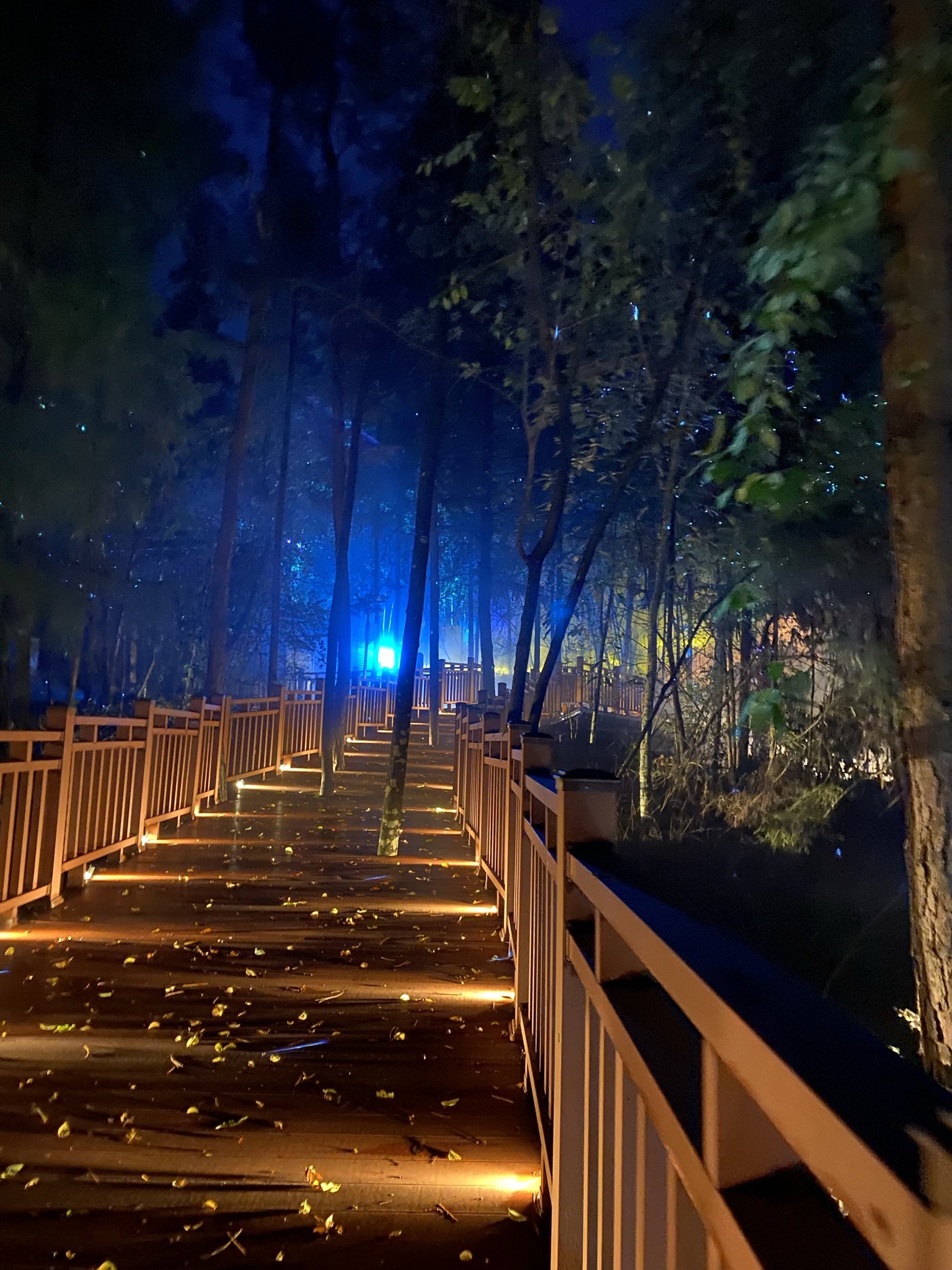 九歌山鬼夜游景区旅行图片 1