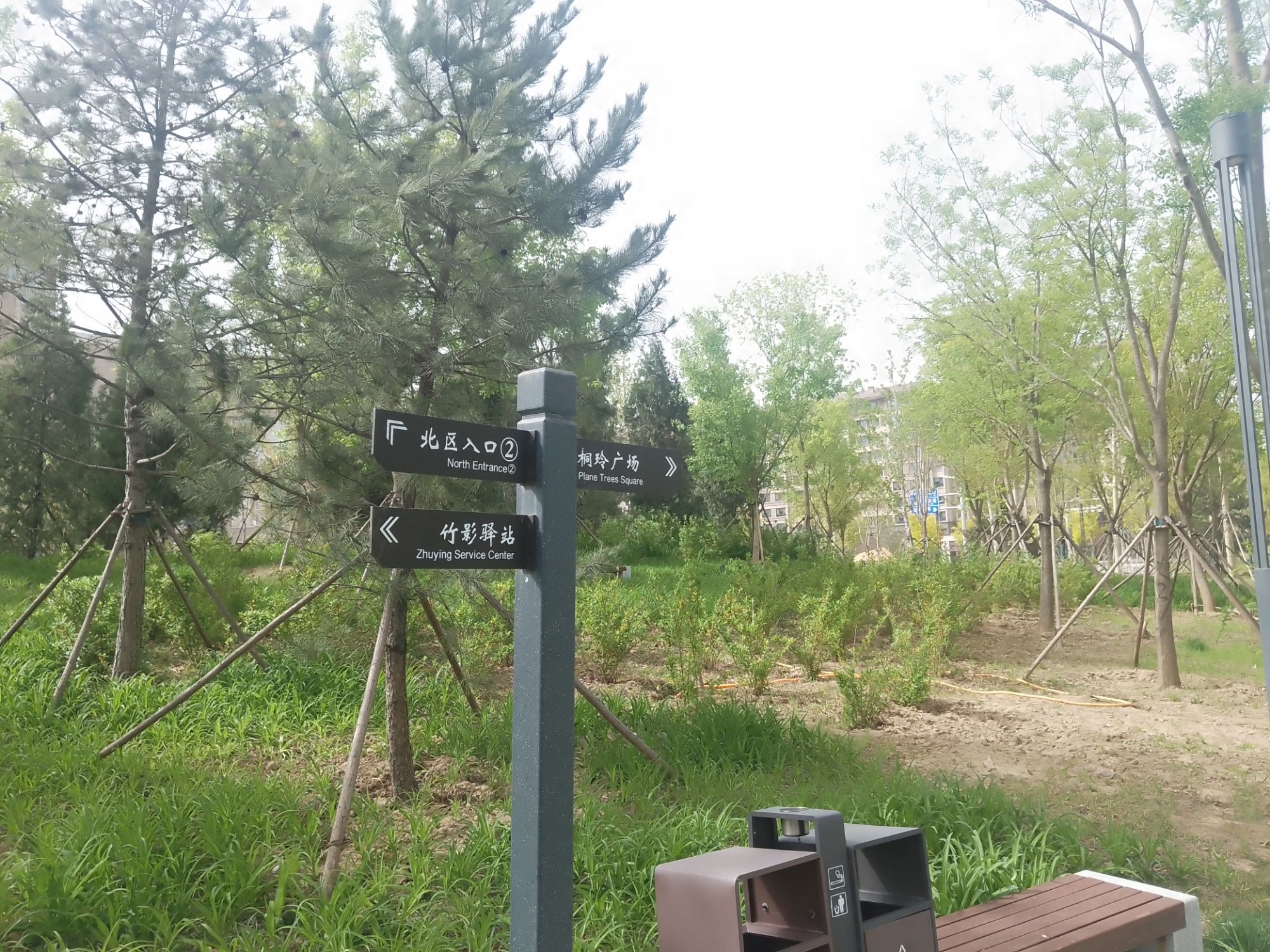 金湖公园旅行图片