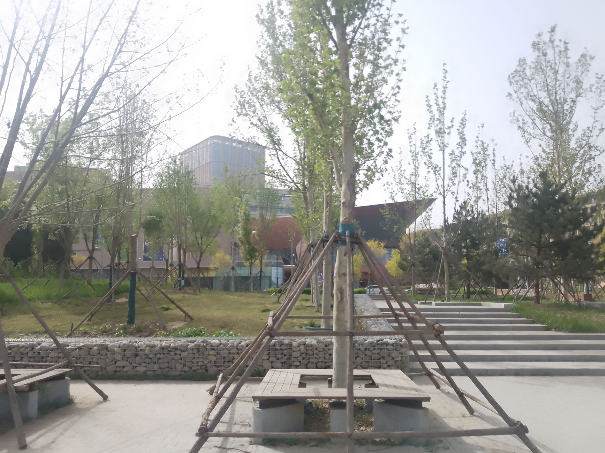 金湖公园旅行图片 2