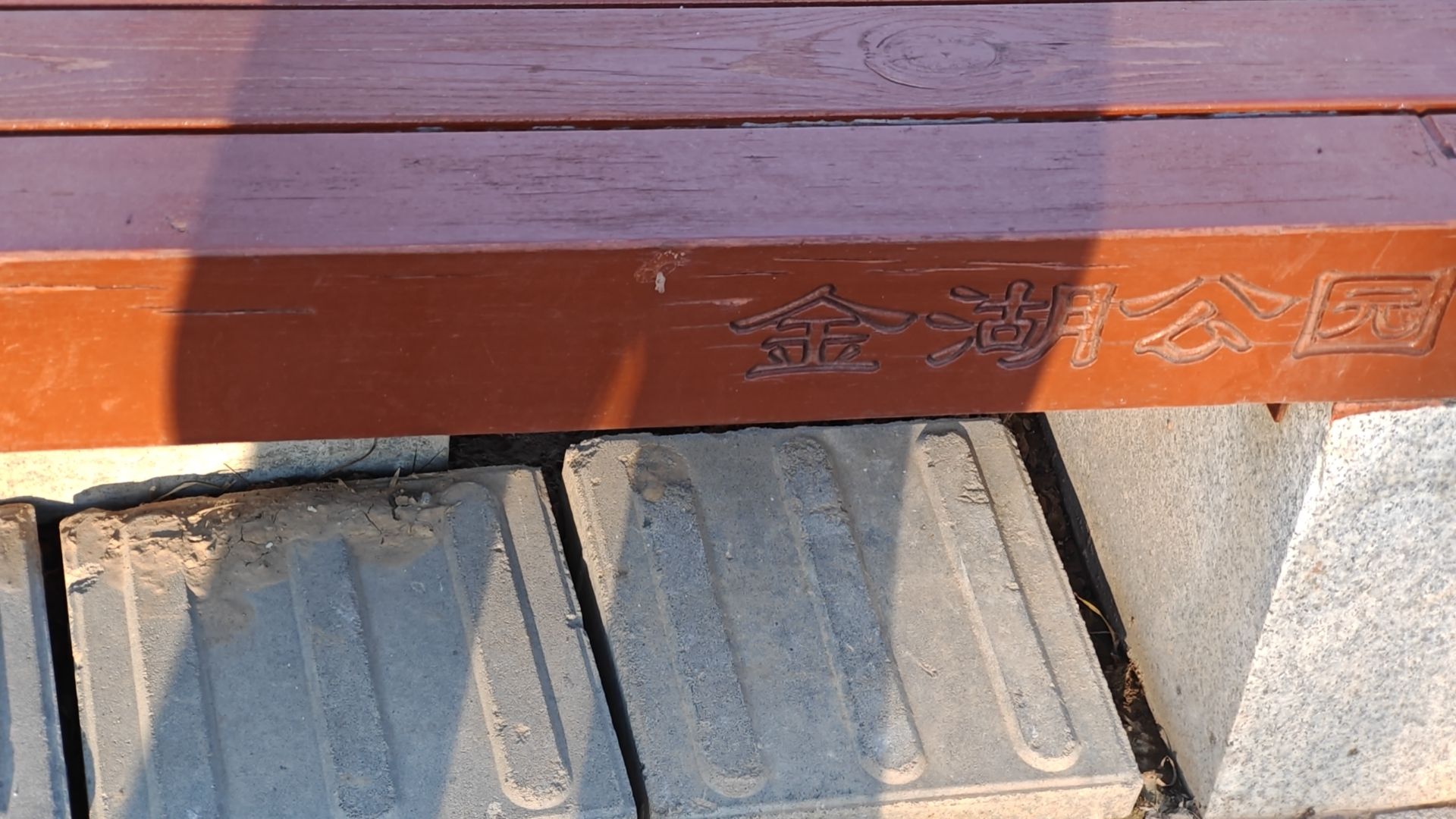 金湖公园旅行图片 3