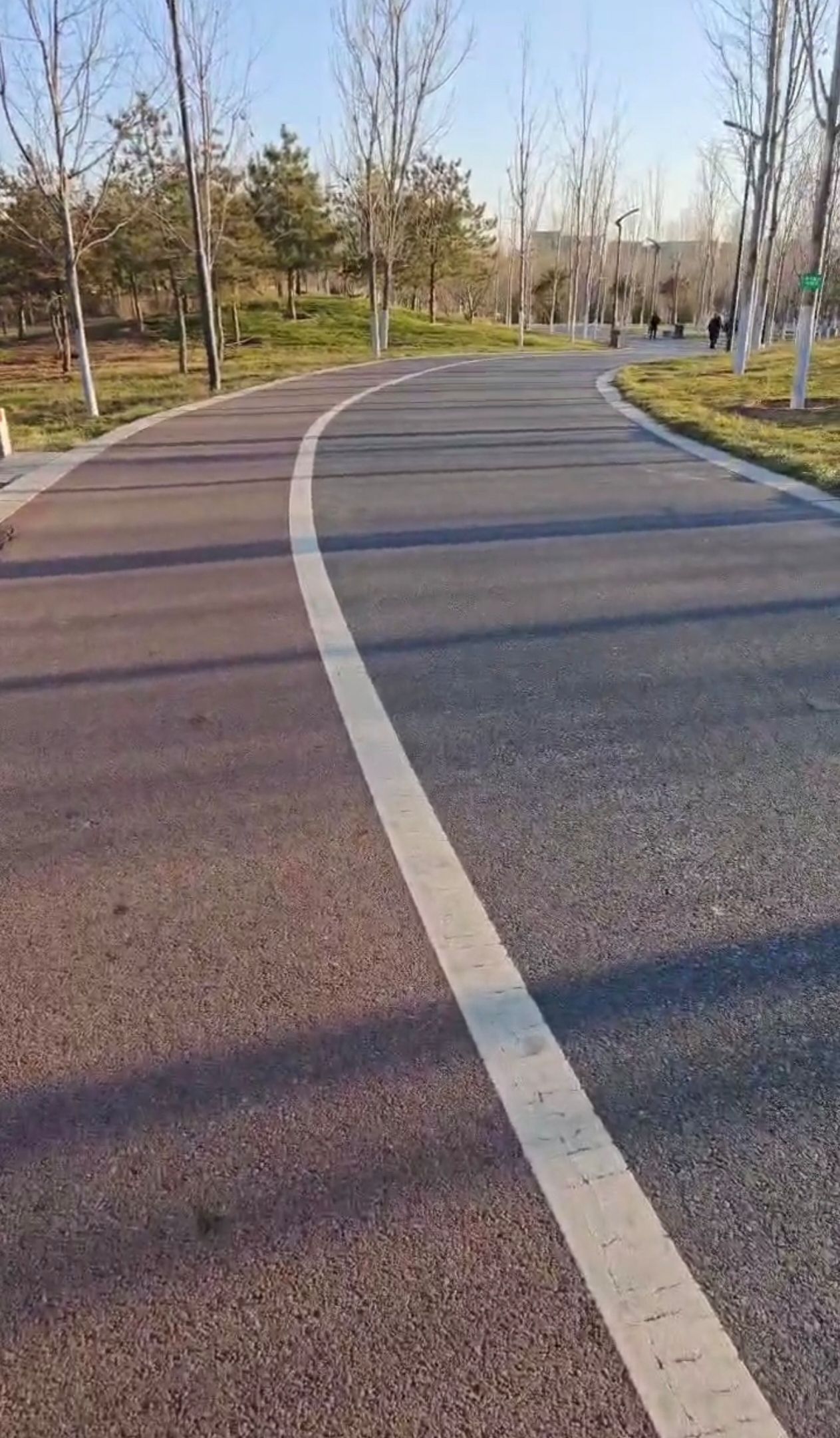 金湖公园旅行图片 2