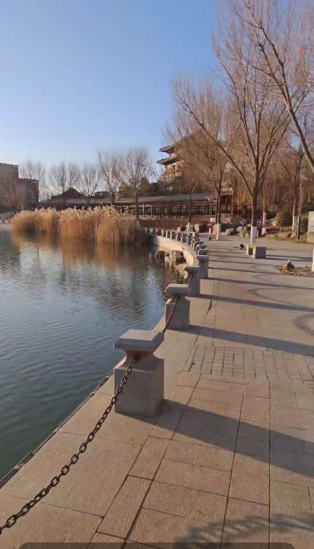 金湖公园旅行图片
