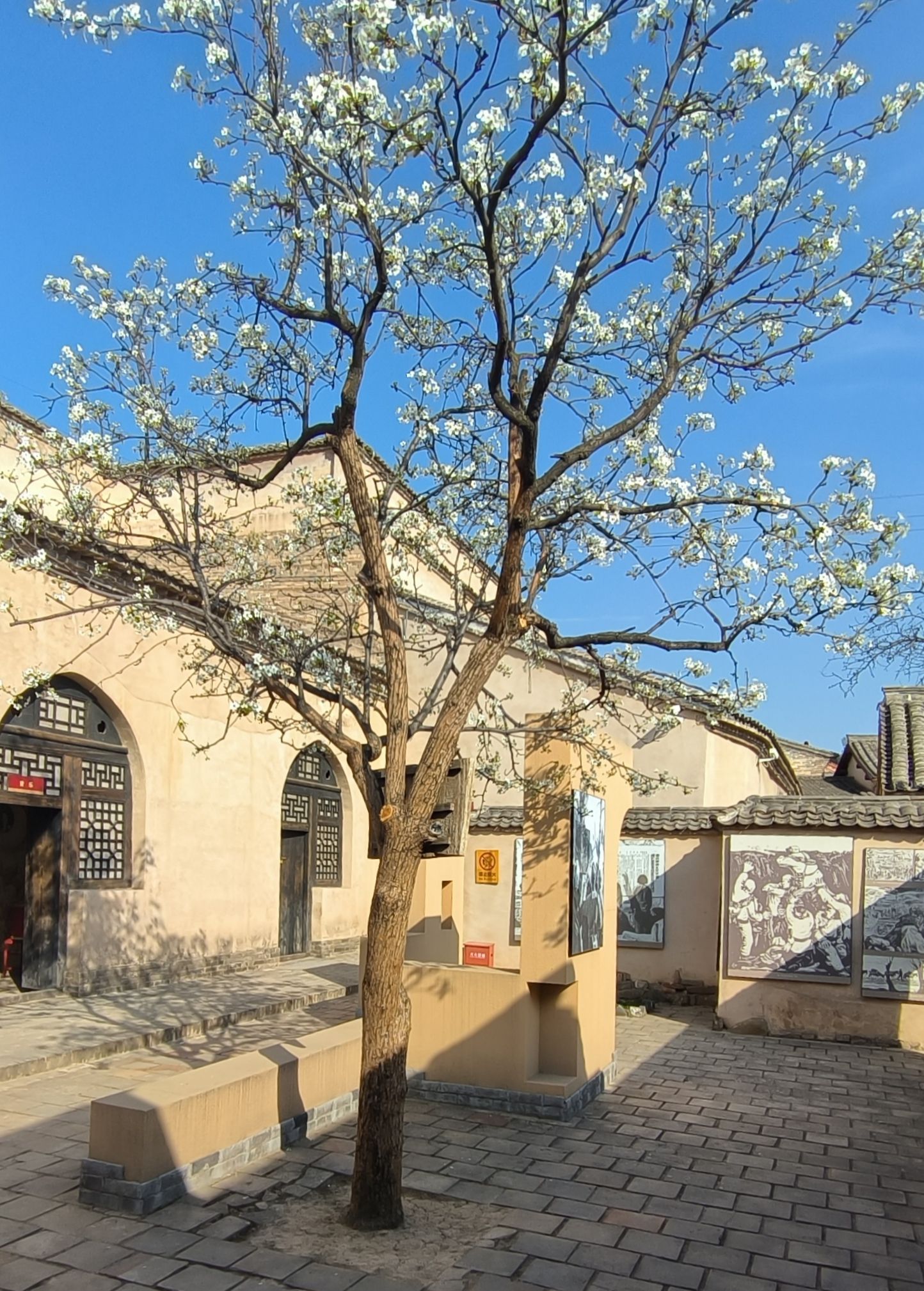 鲁迅艺术学校旧址旅行图片 1