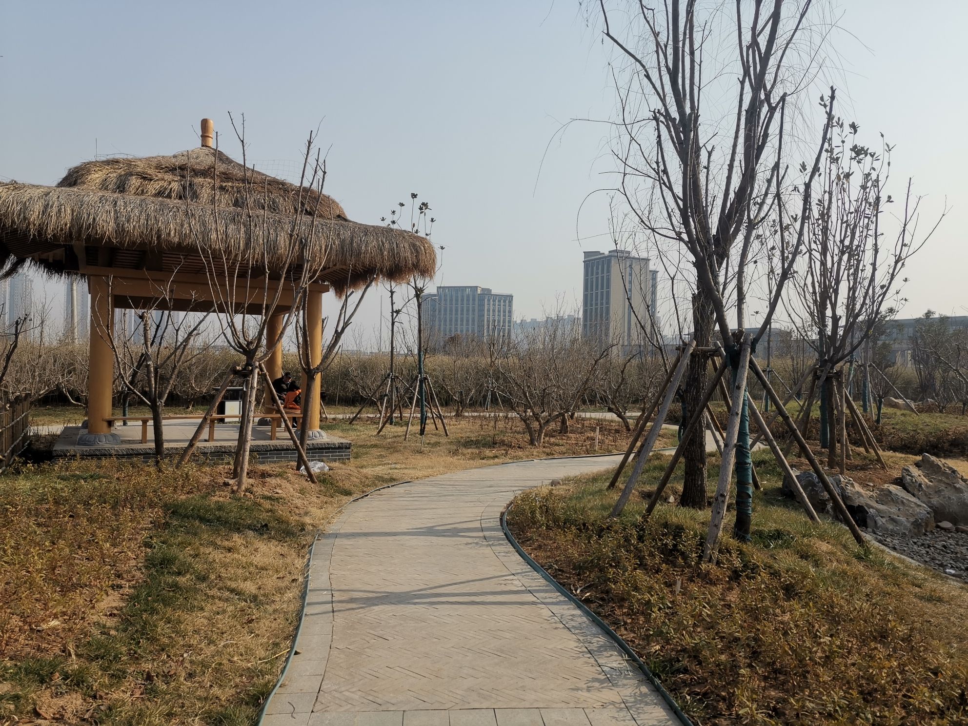 司马光文化园旅行图片 1