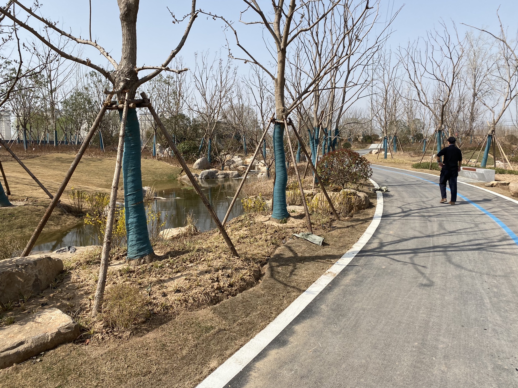 徐沛运河公园旅行图片 3