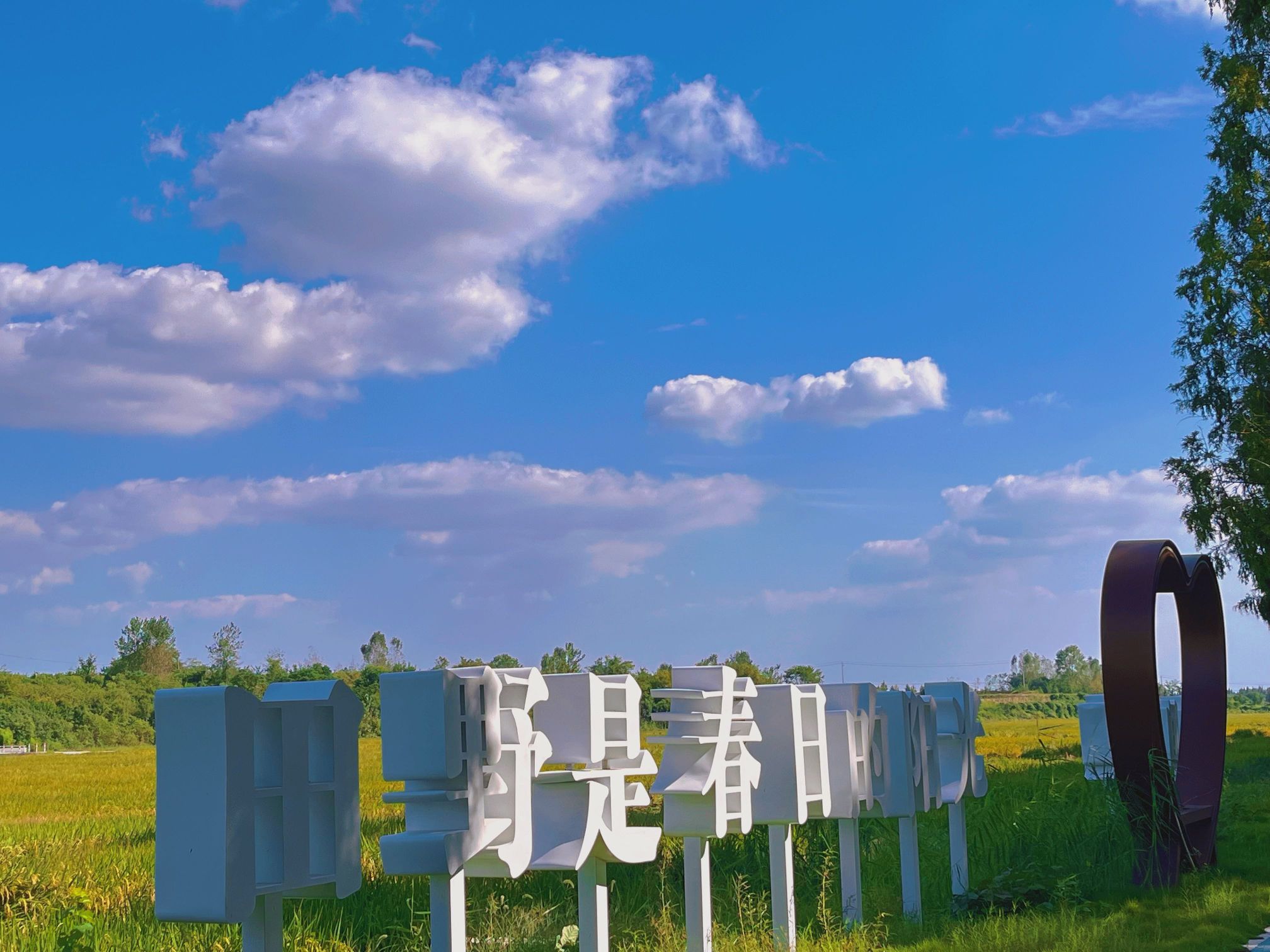 十里长杉旅行图片 2