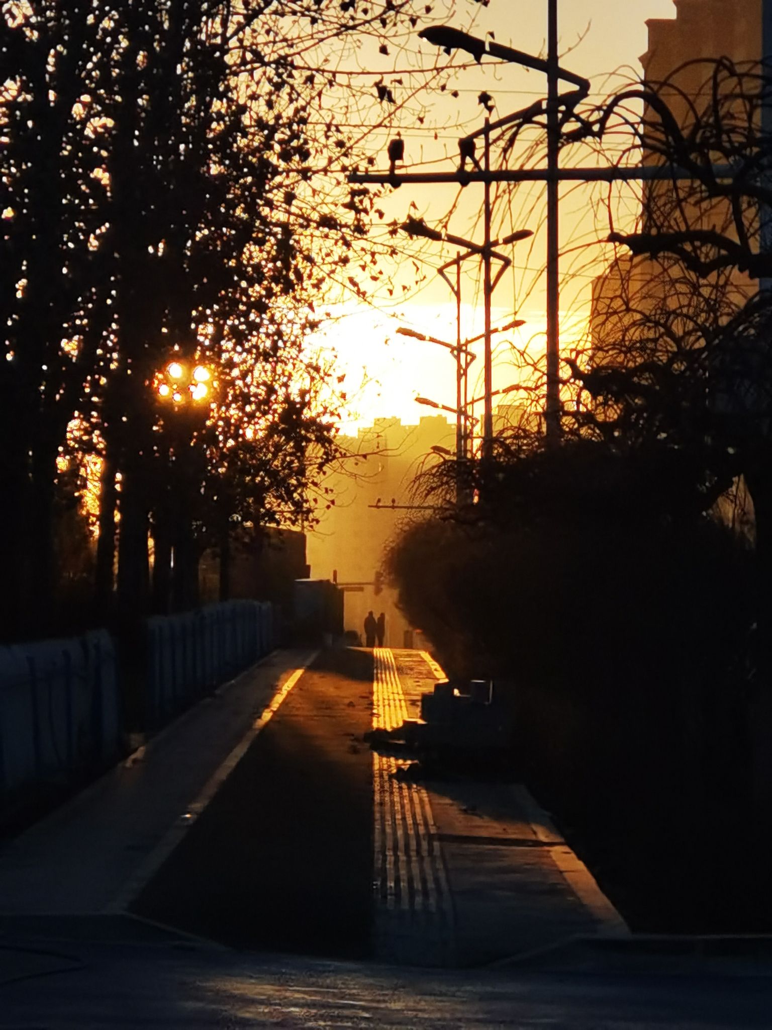 滨河公园旅行图片 2