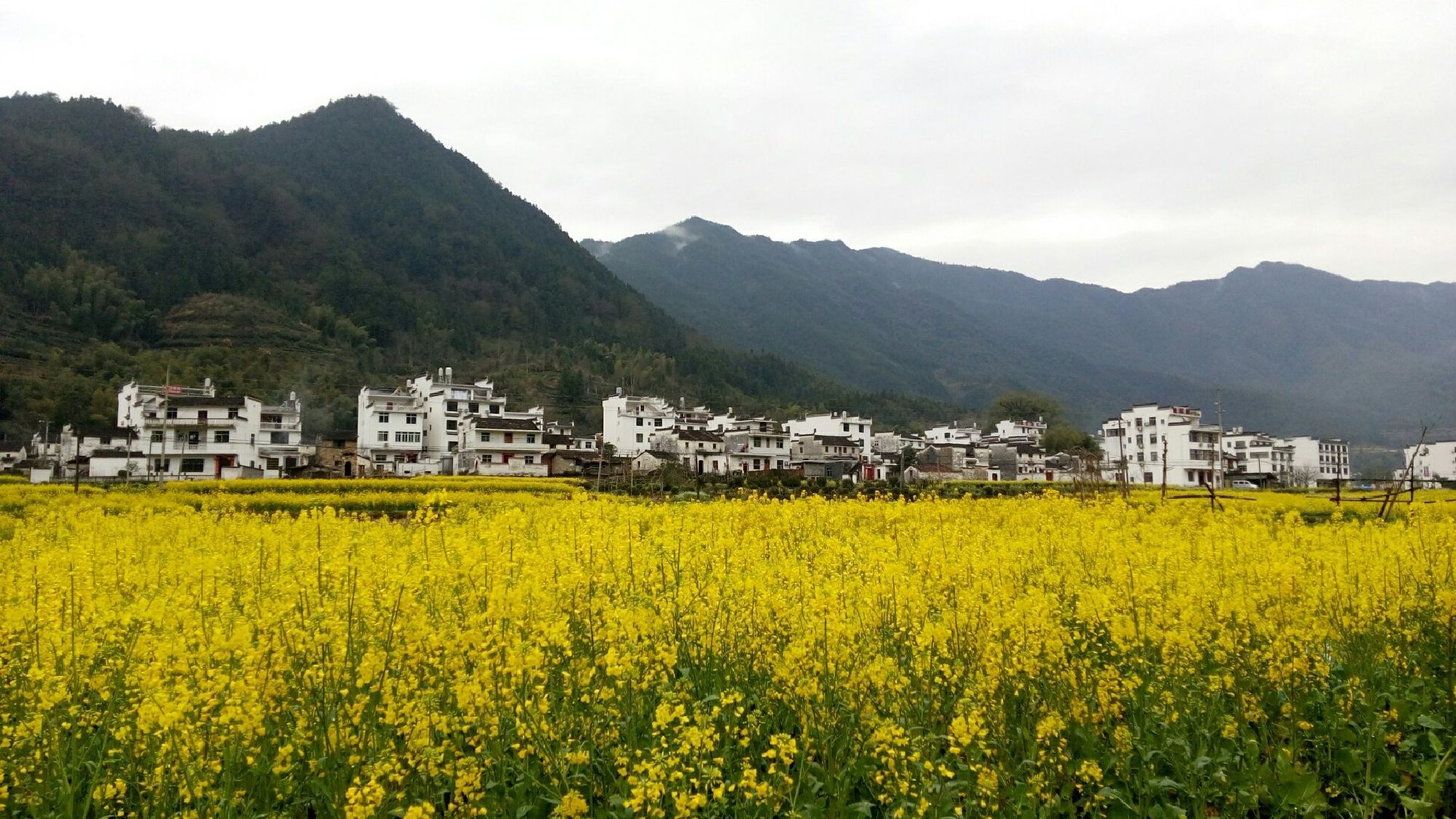 花桥旅行图片 1