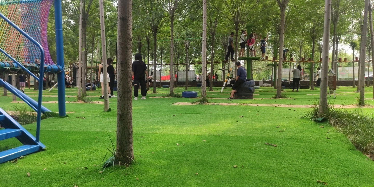 李鹊研学小镇旅行图片 2