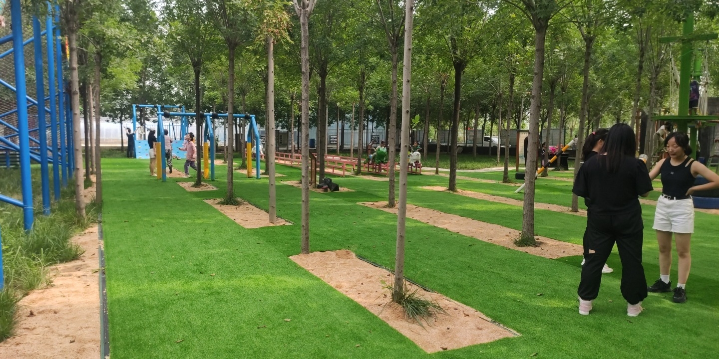 李鹊研学小镇旅行图片 3