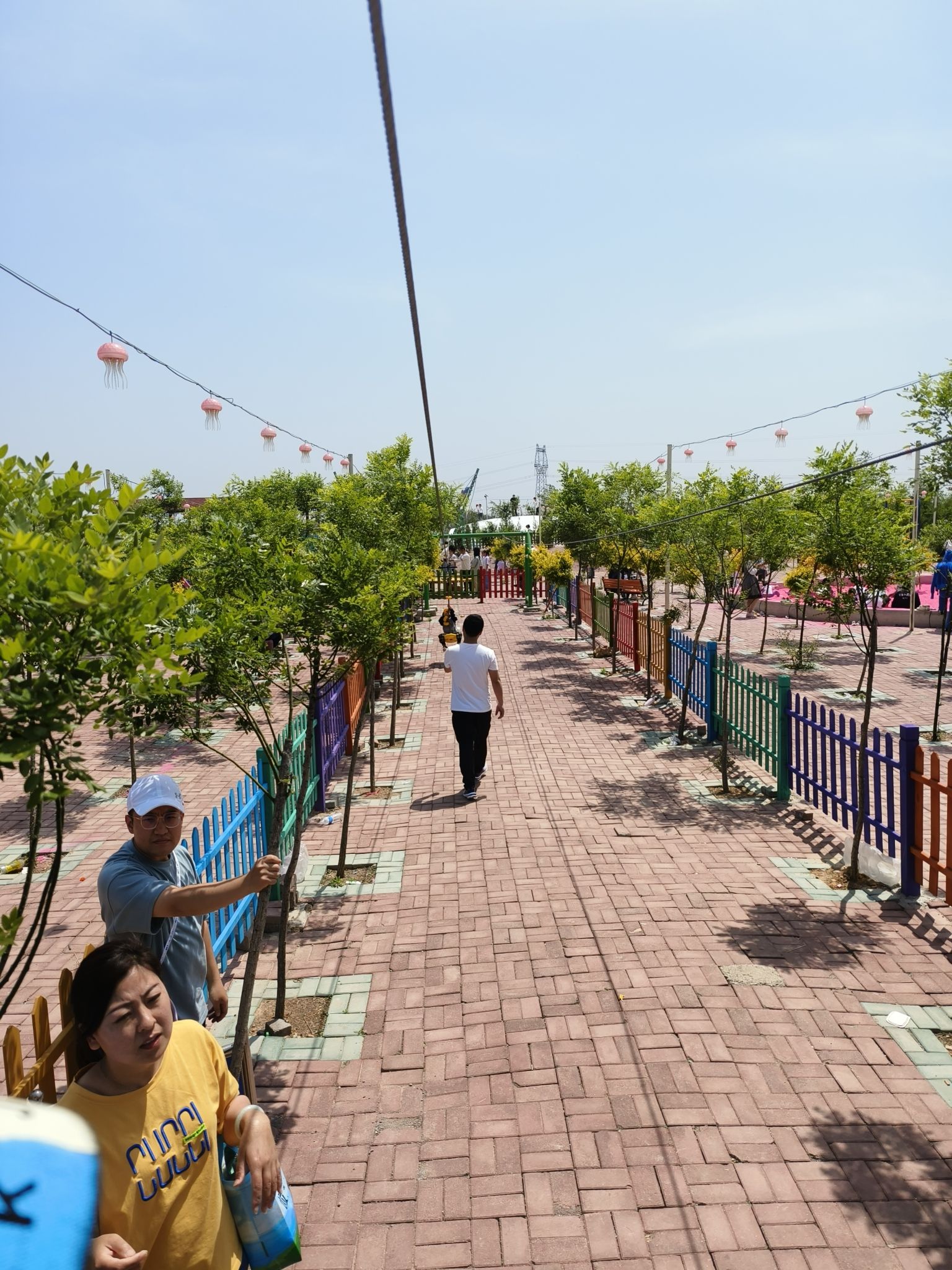 张尔庄八仙葫芦园旅行图片 2