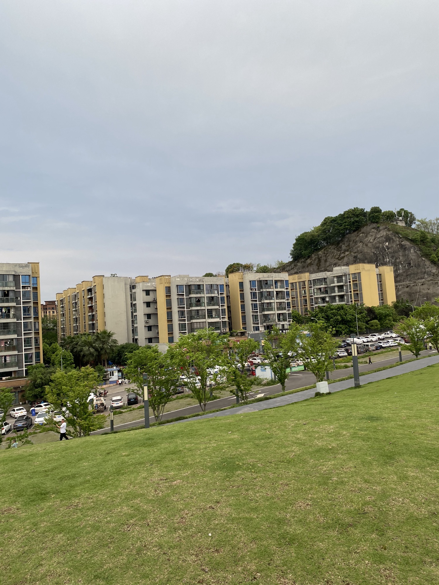 公园草坪旅行图片 2
