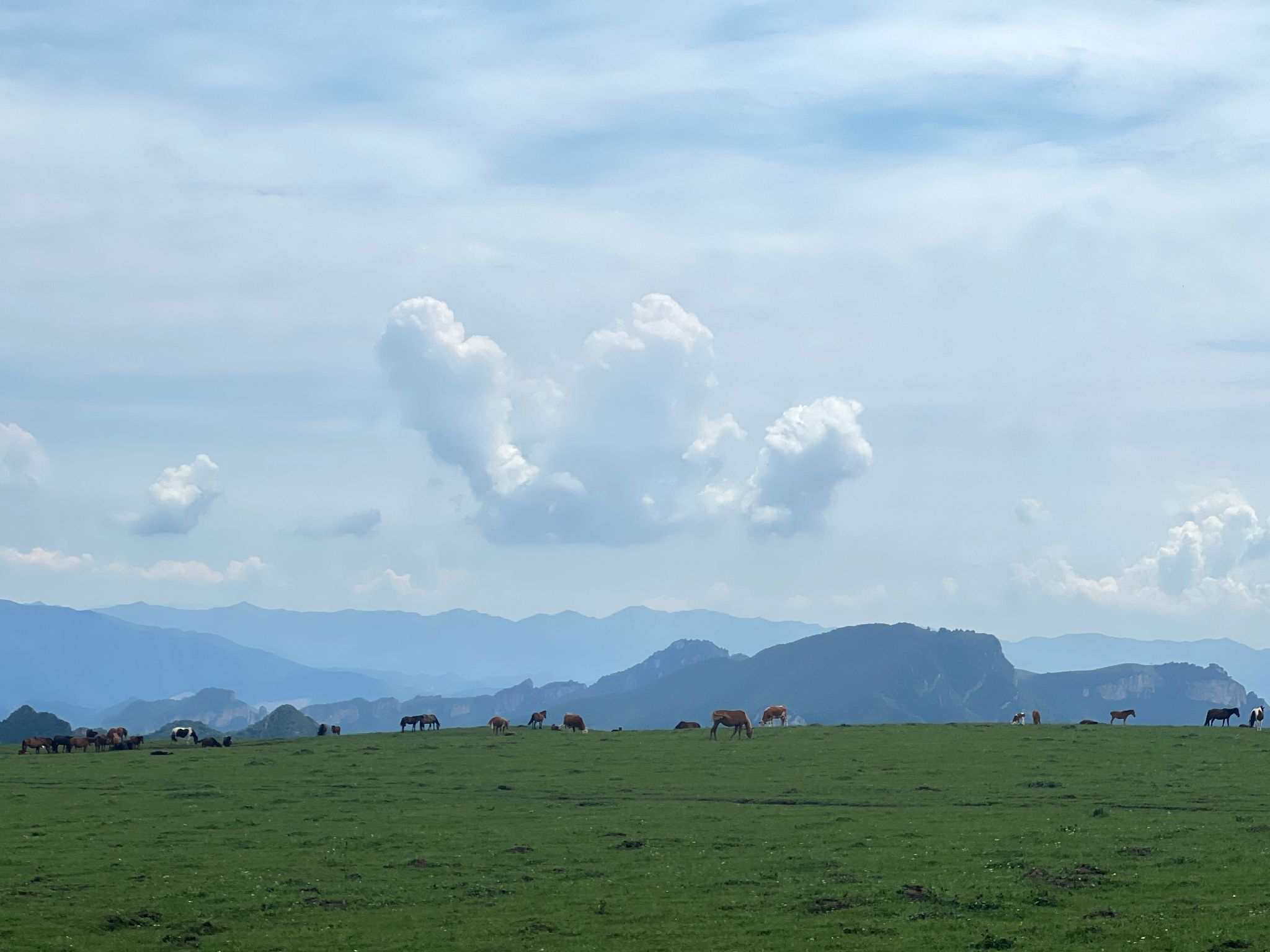 灵丘县空中草原景区旅行图片 3