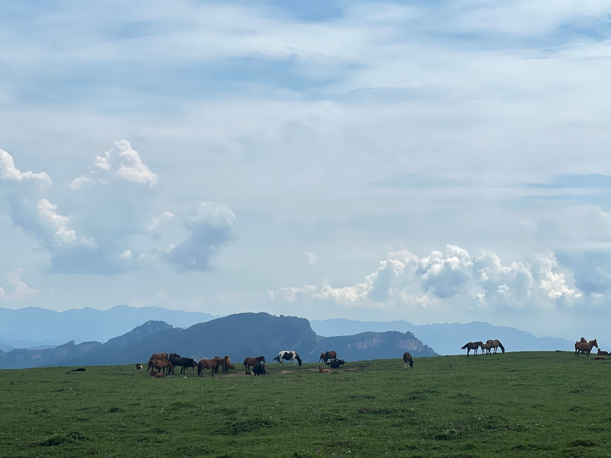 灵丘县空中草原景区旅行图片 1