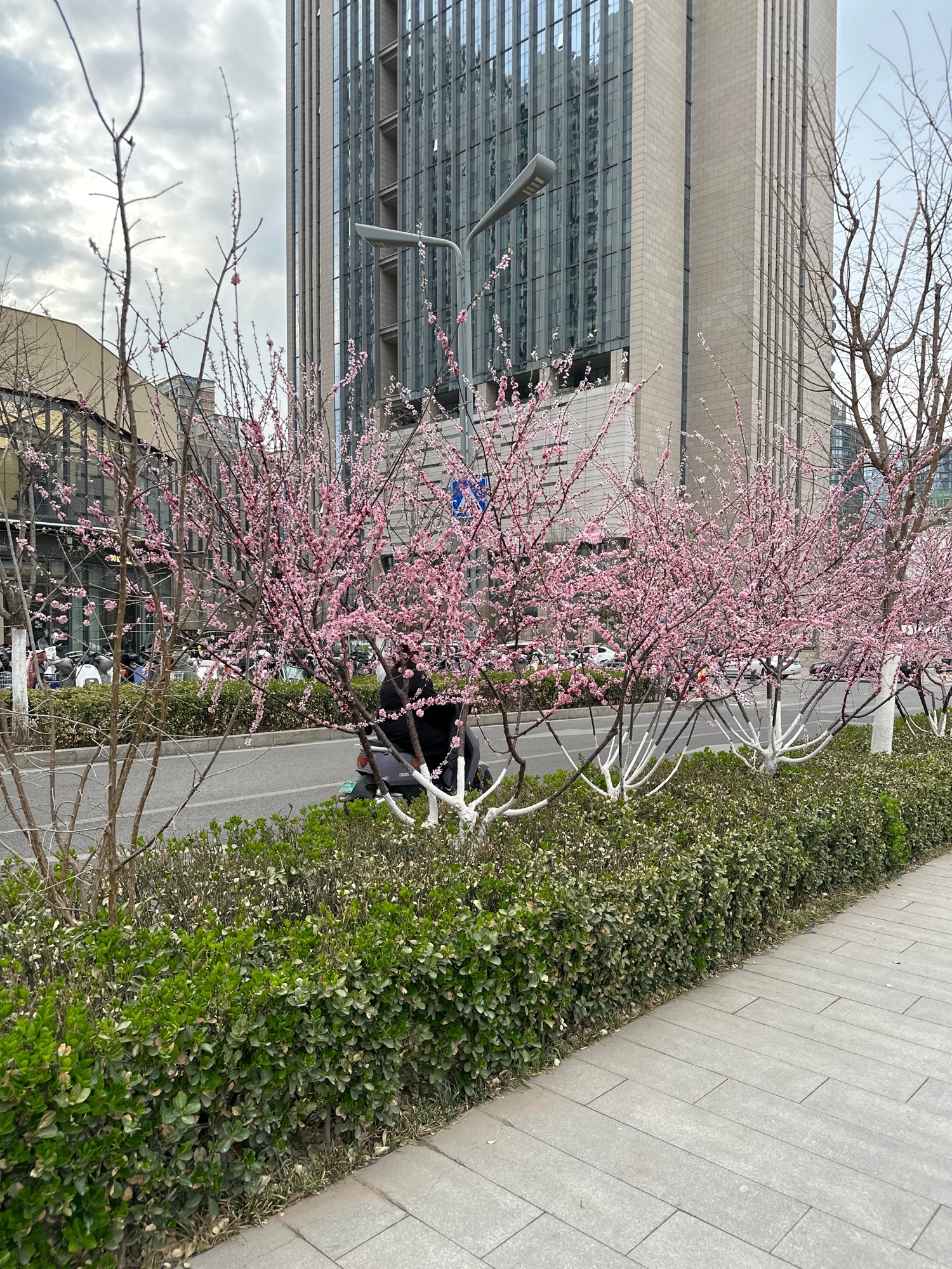泉城人才公园旅行图片 3
