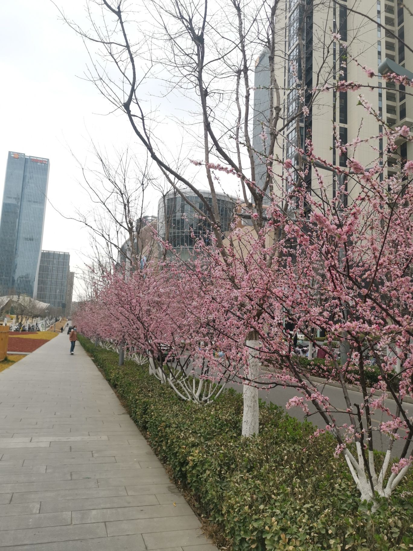 泉城人才公园旅行图片 1