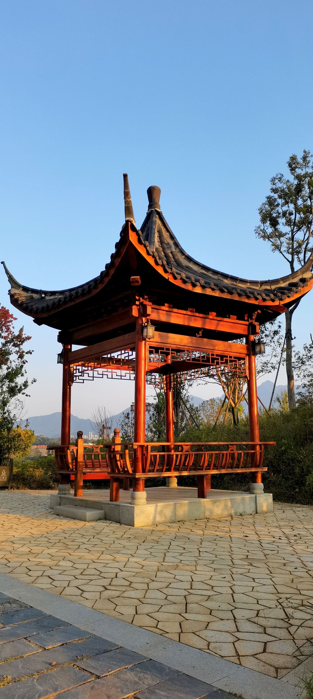 向阳生态公园旅行图片 3