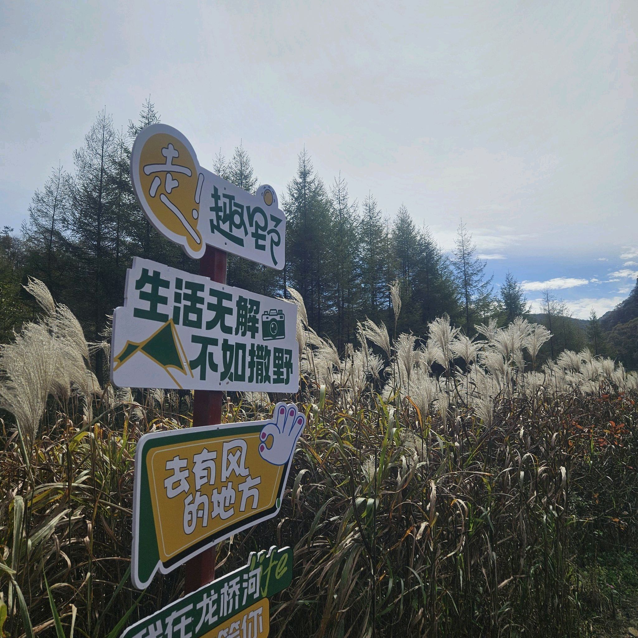 龙桥河景区旅行图片 2