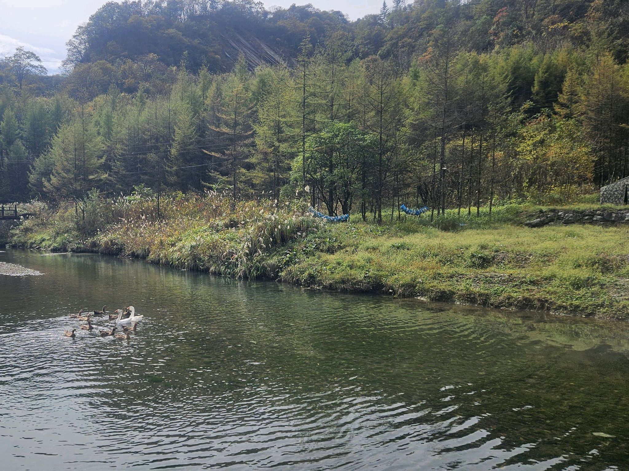 龙桥河景区旅行图片 3